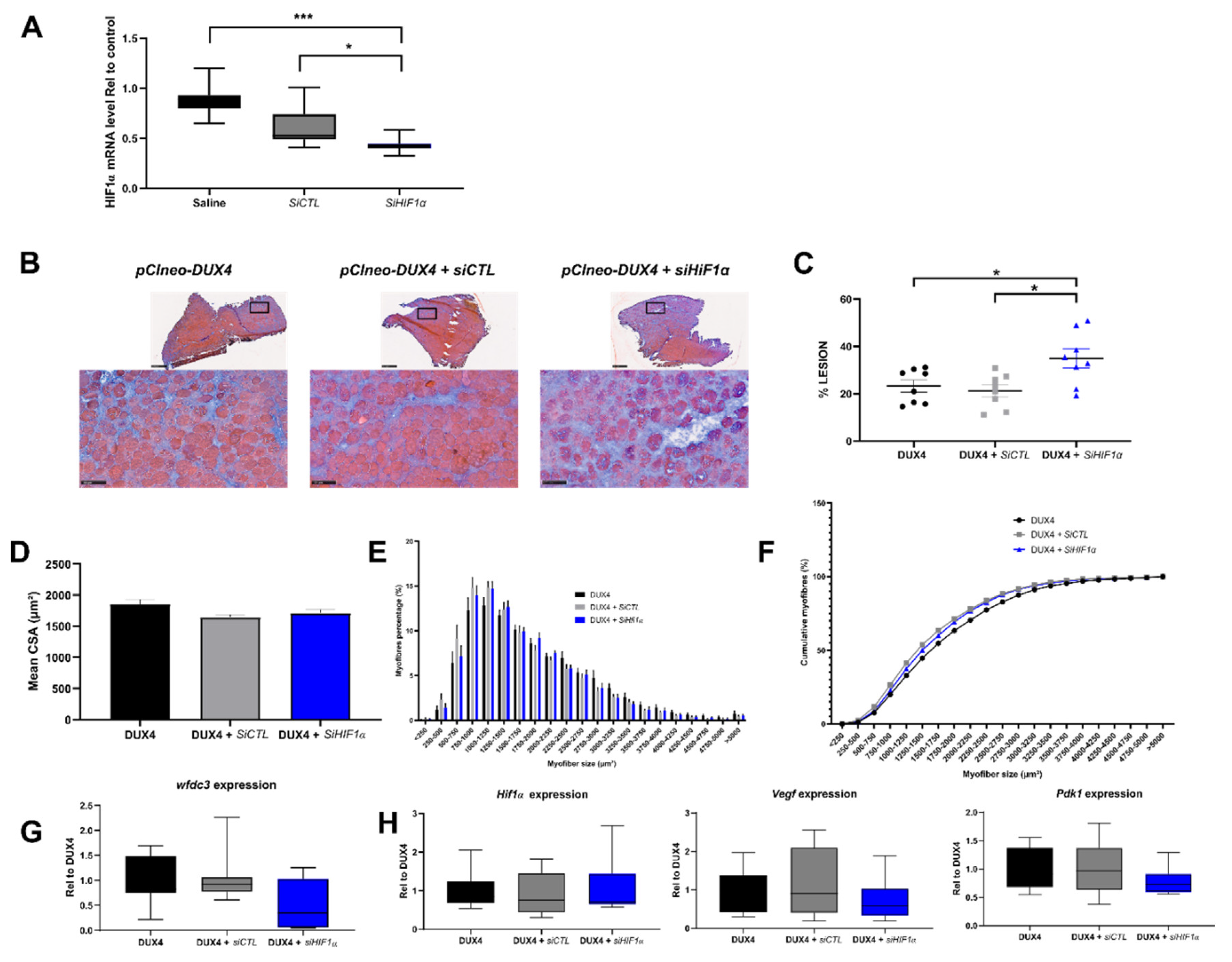 Preprints 97418 g005