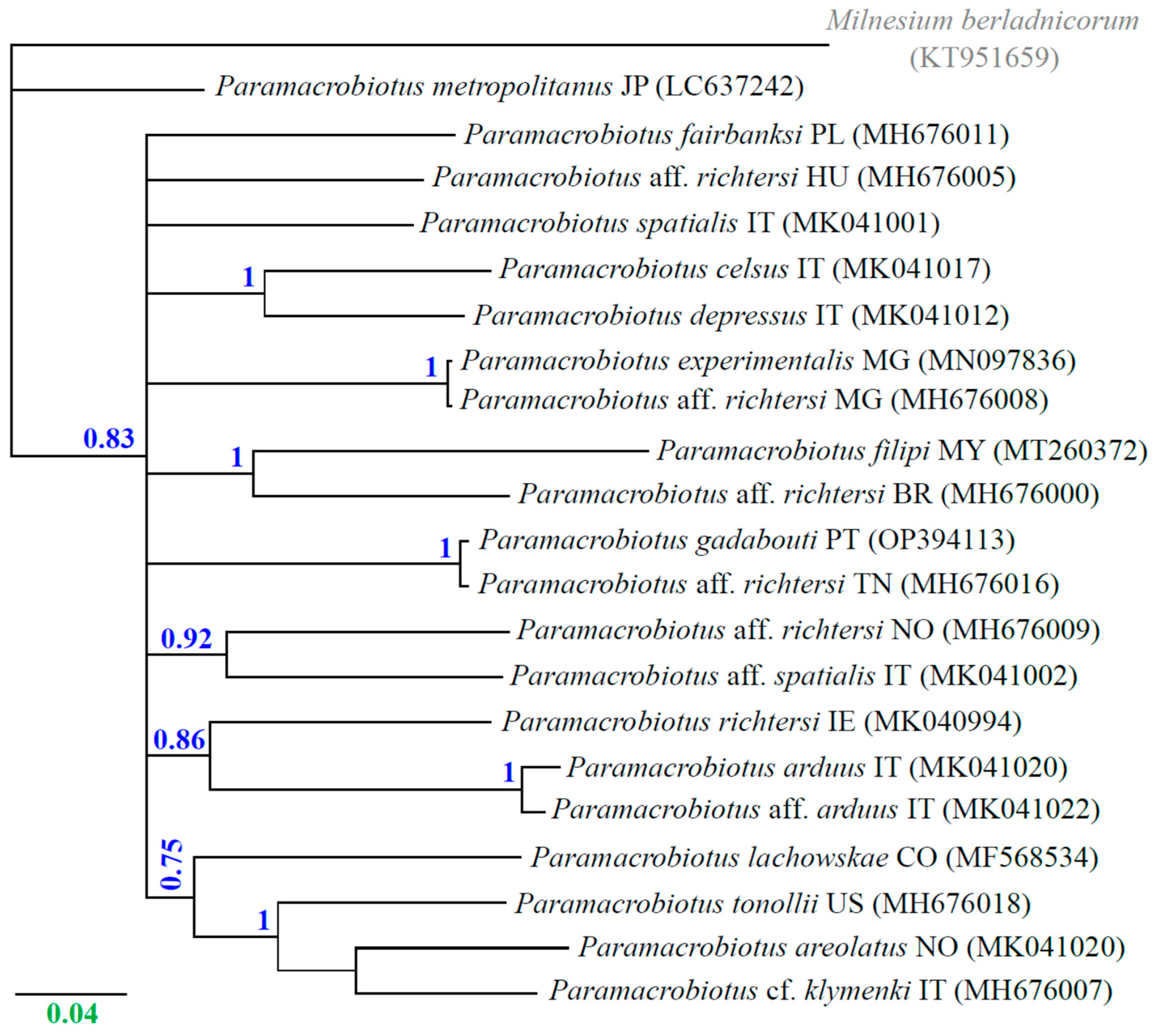 Preprints 79731 g002