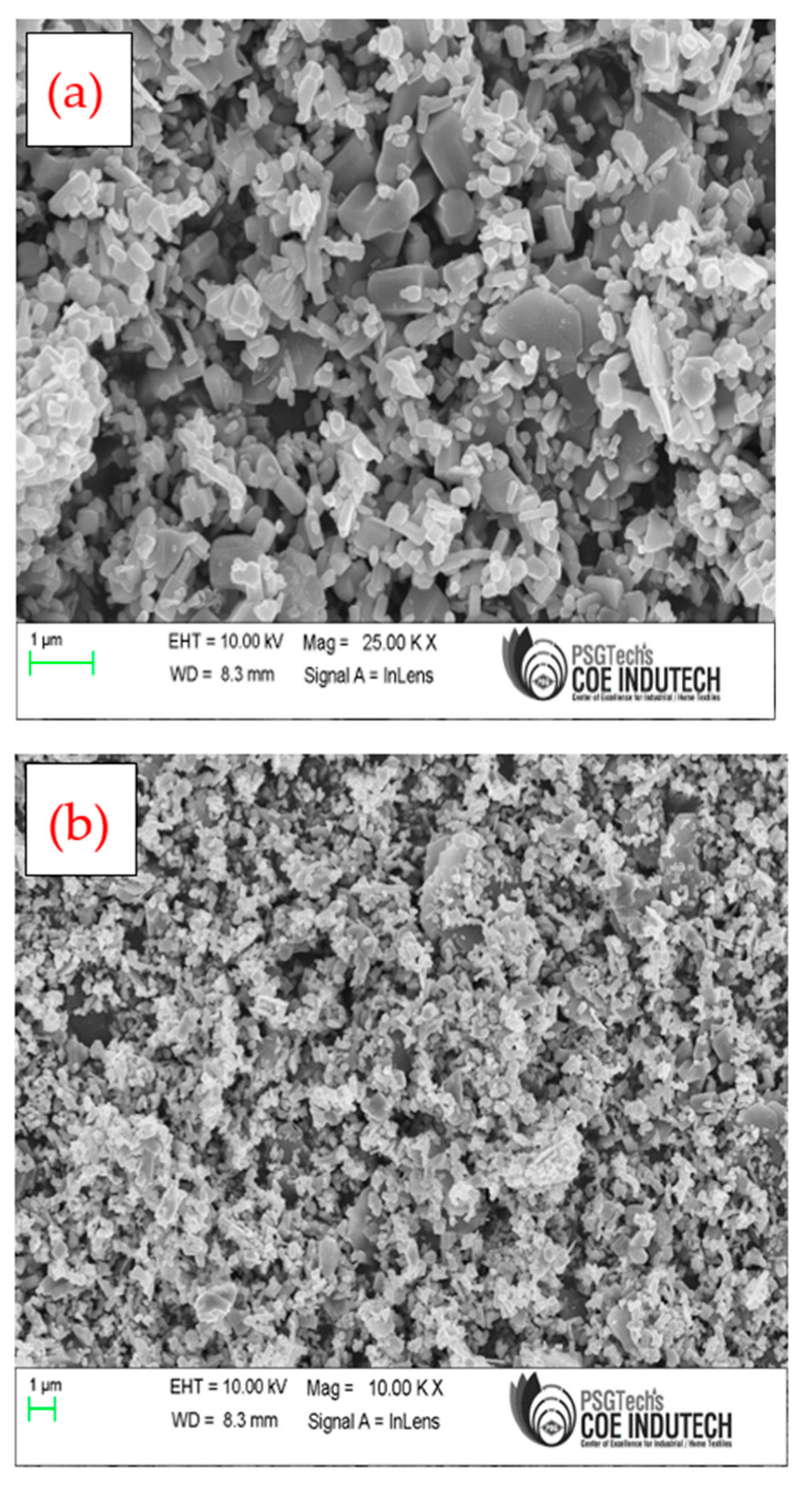 Preprints 114246 g003