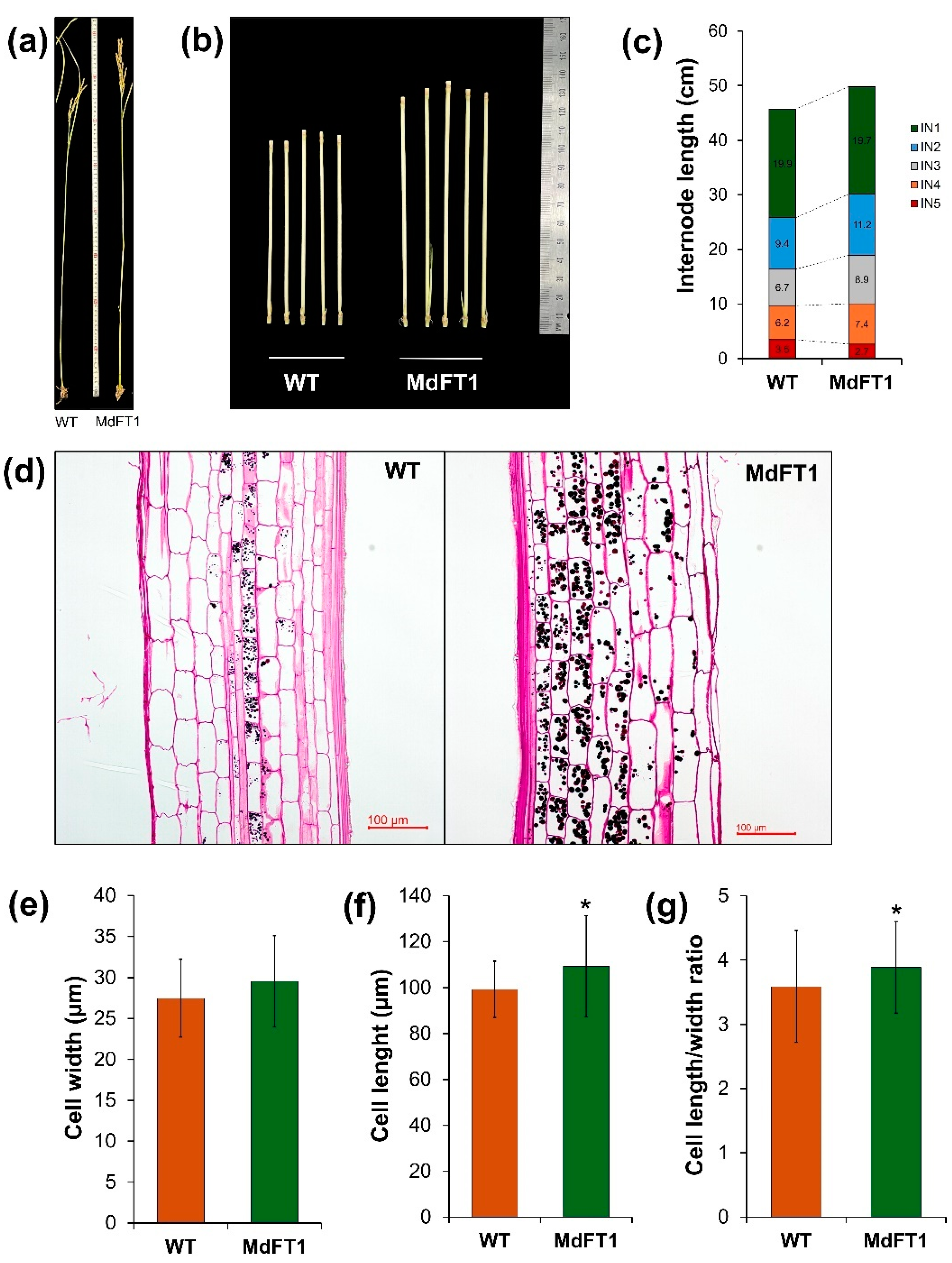 Preprints 116660 g007