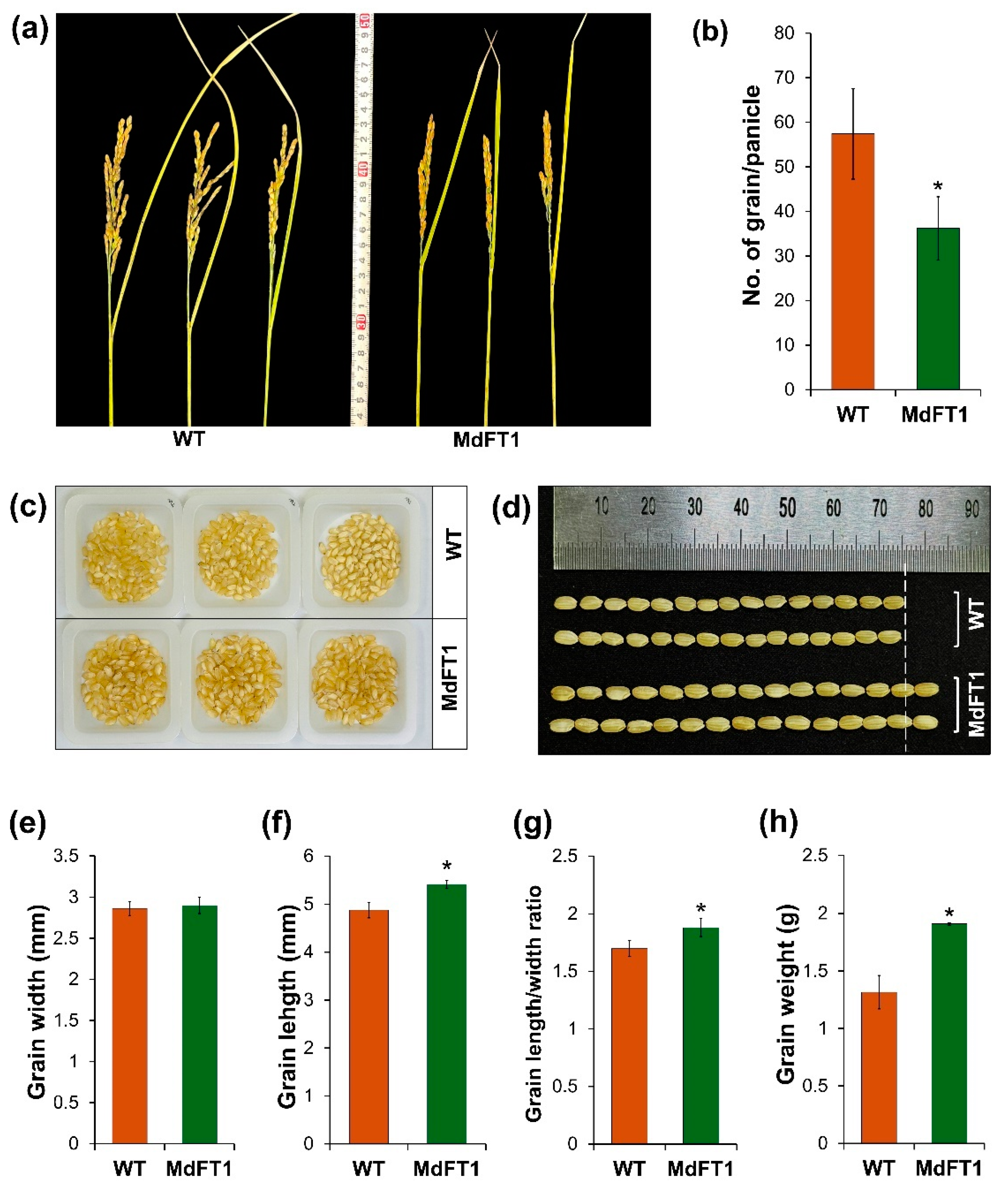 Preprints 116660 g008