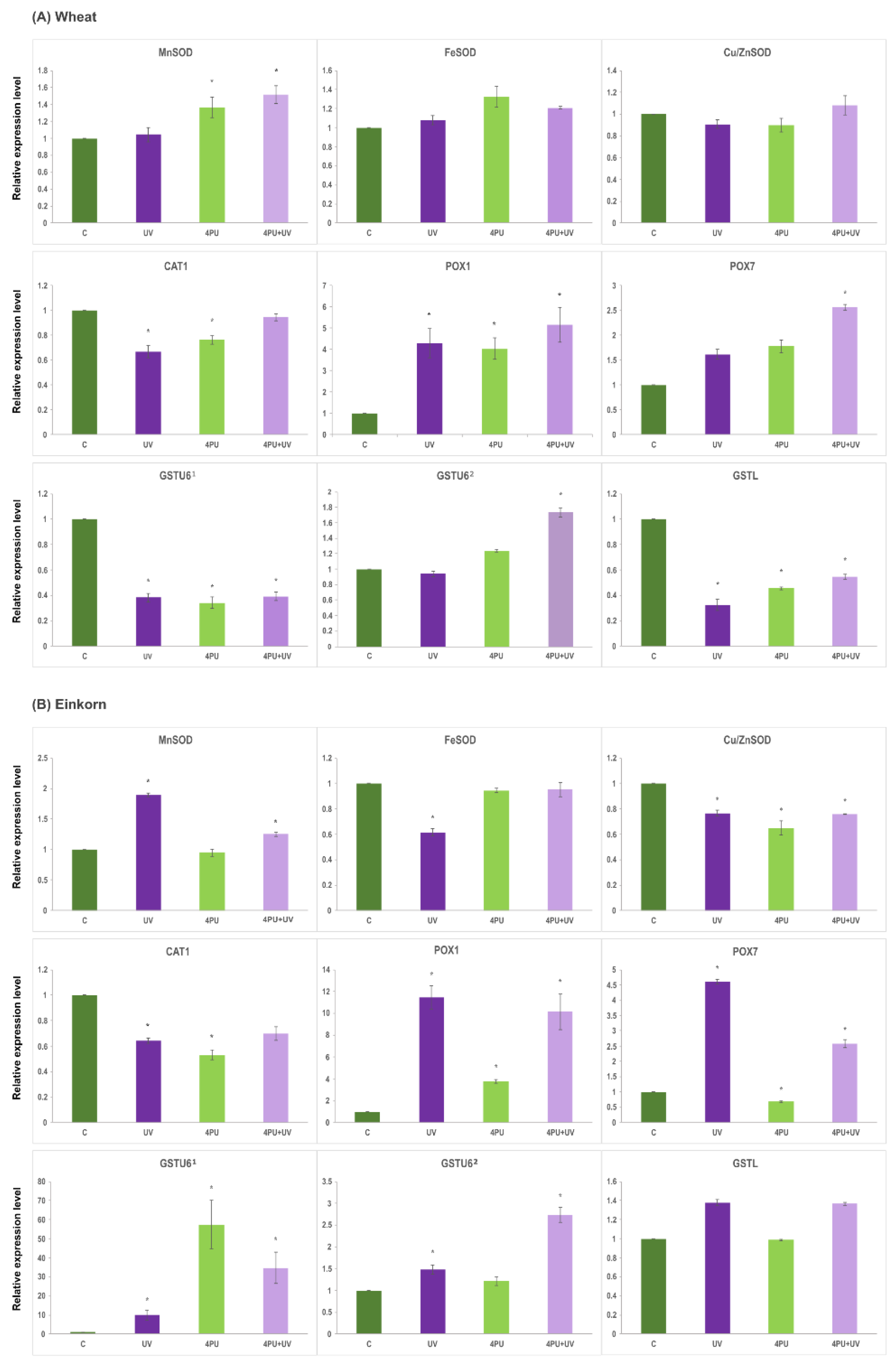 Preprints 104640 g007