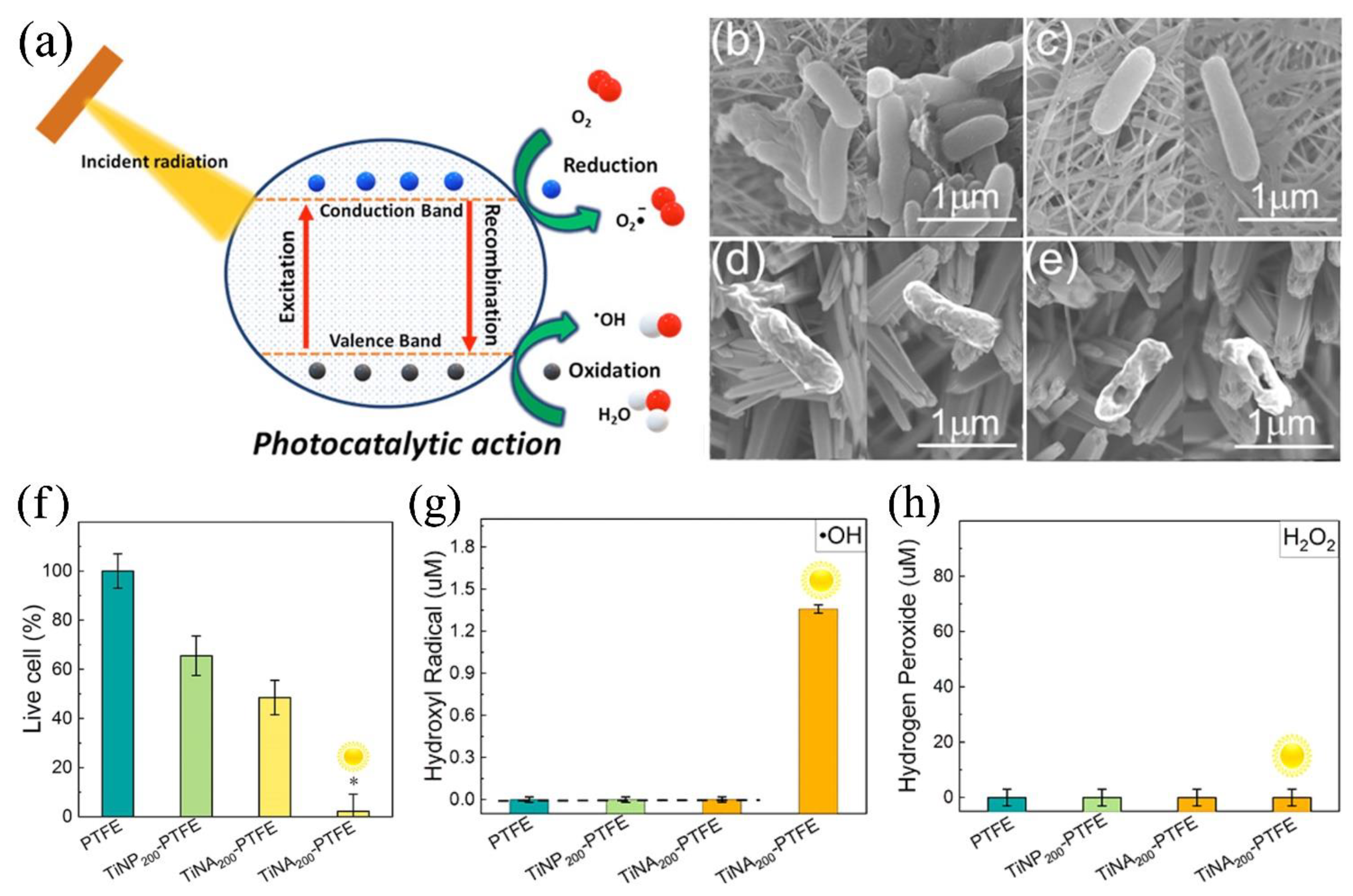 Preprints 88173 g003