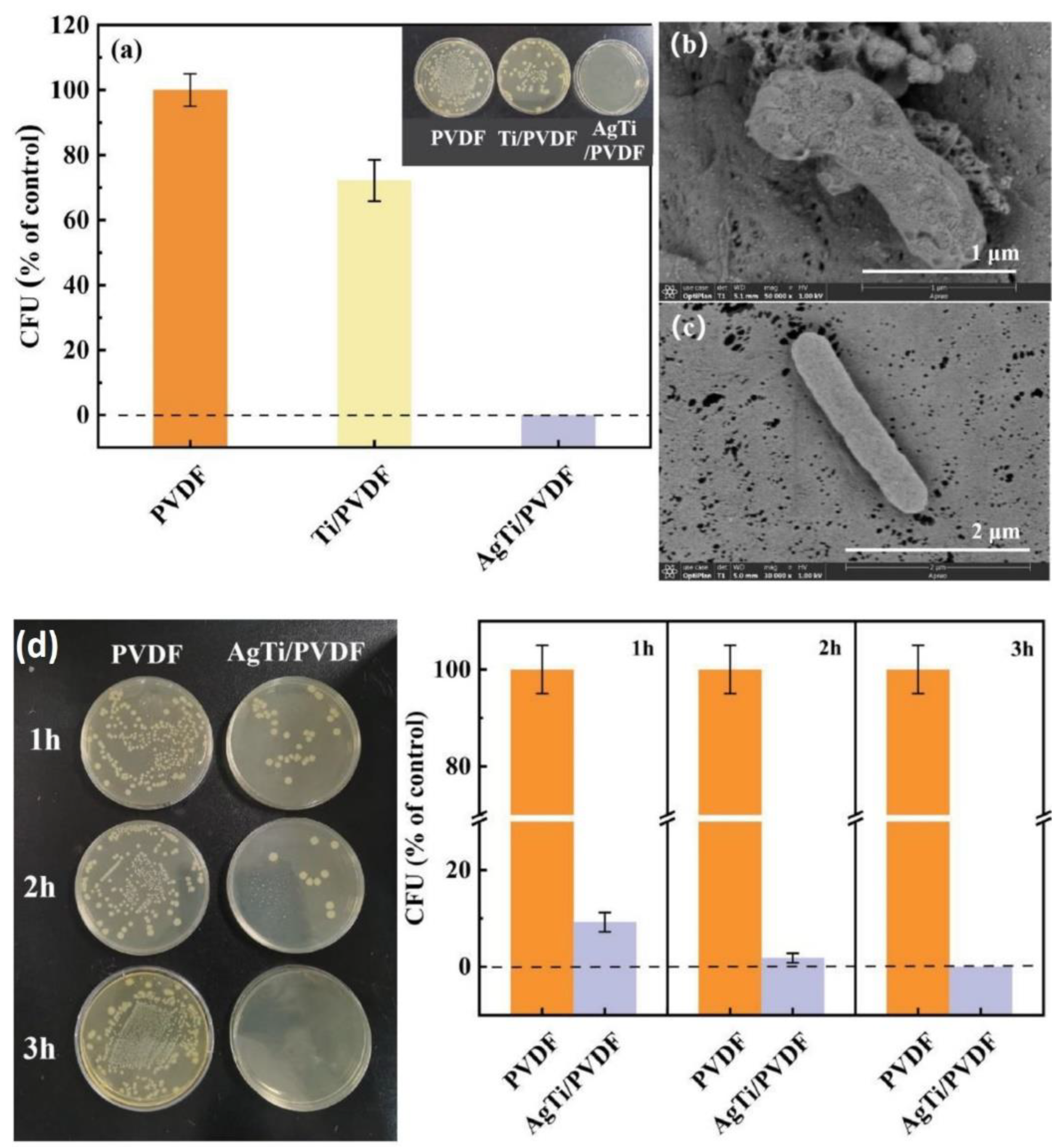 Preprints 88173 g007