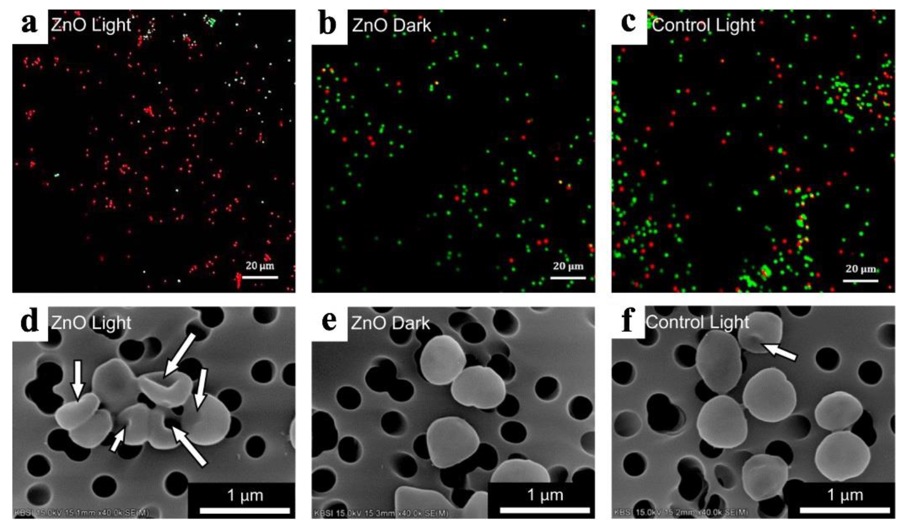 Preprints 88173 g008