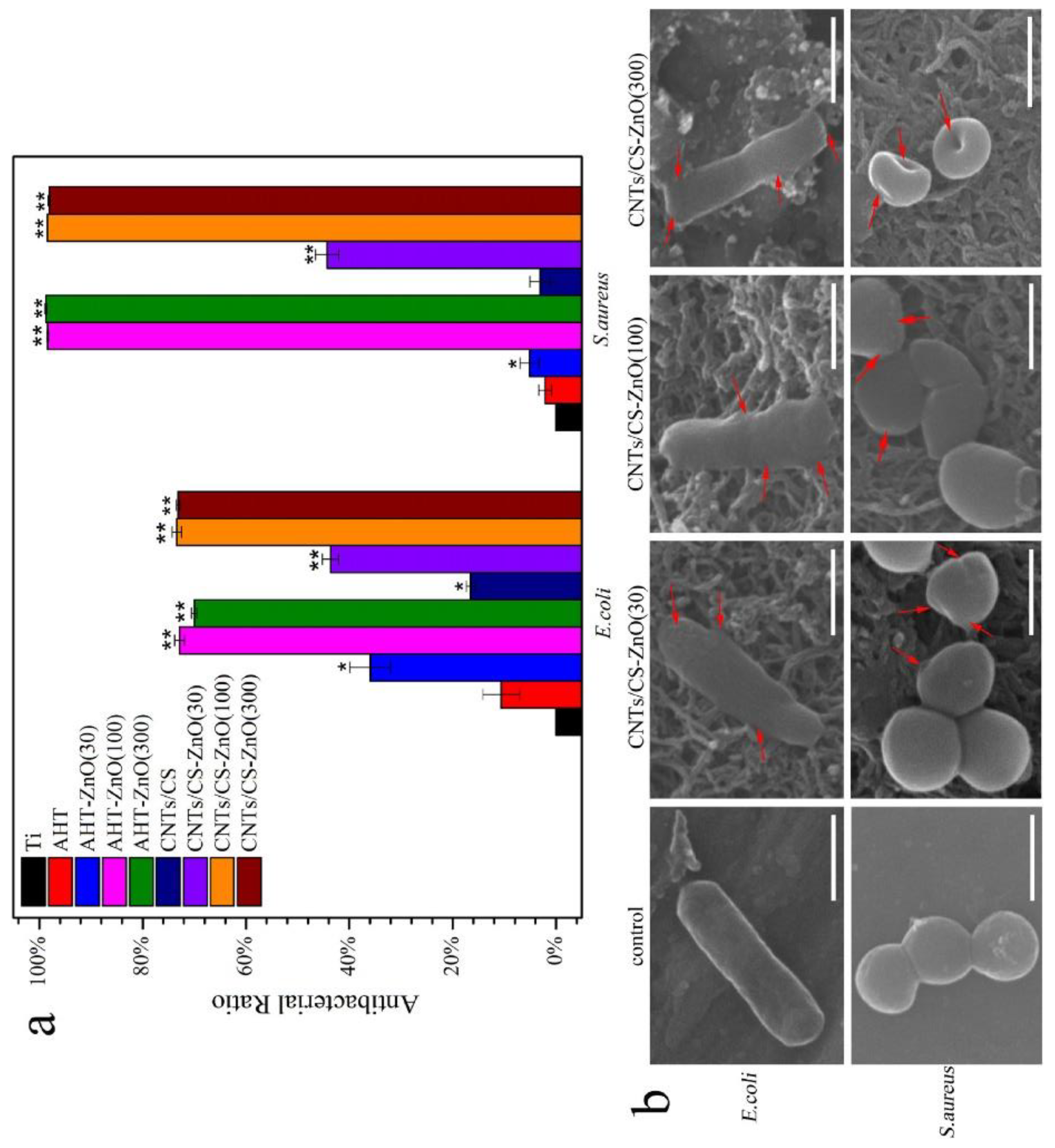 Preprints 88173 g009