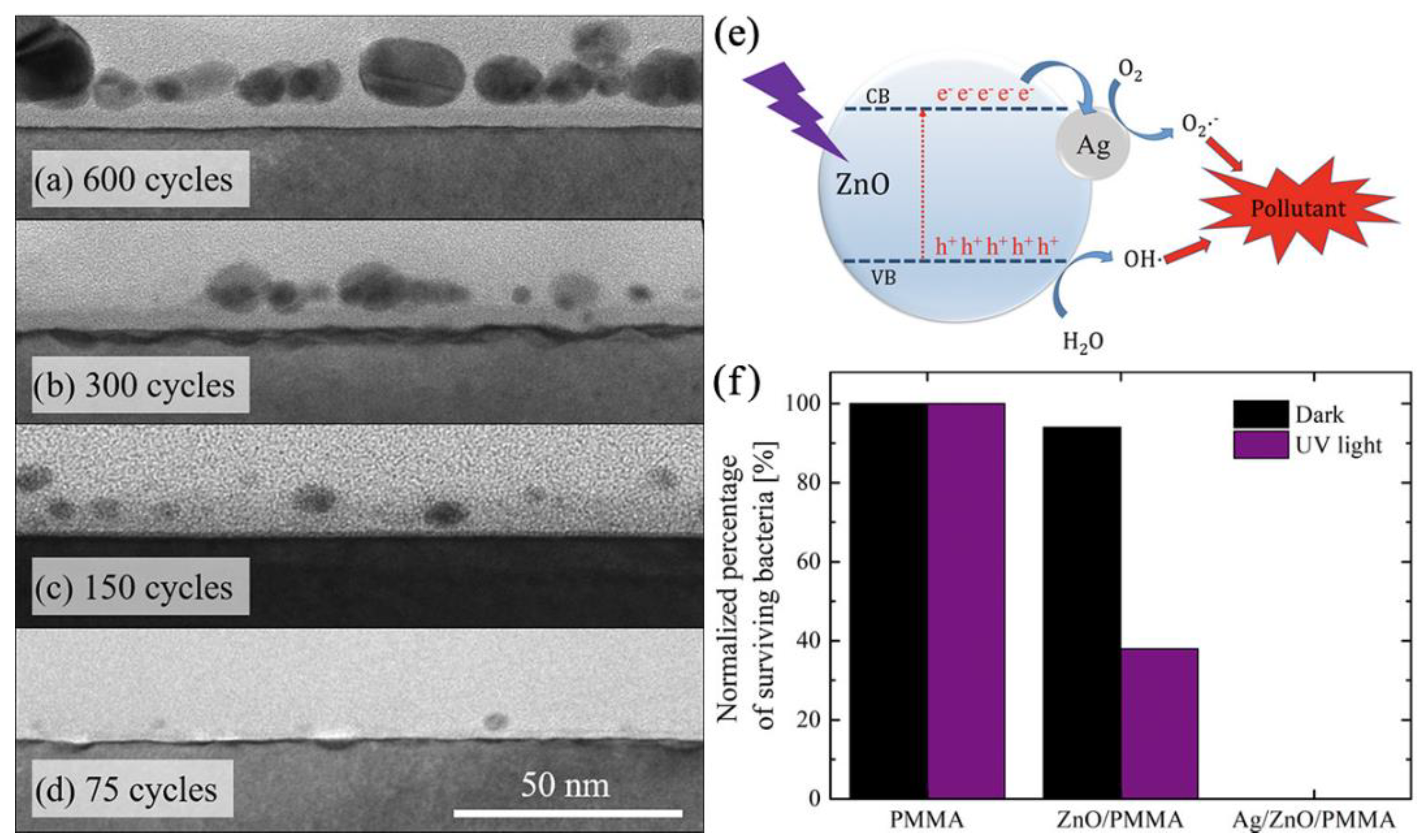 Preprints 88173 g012