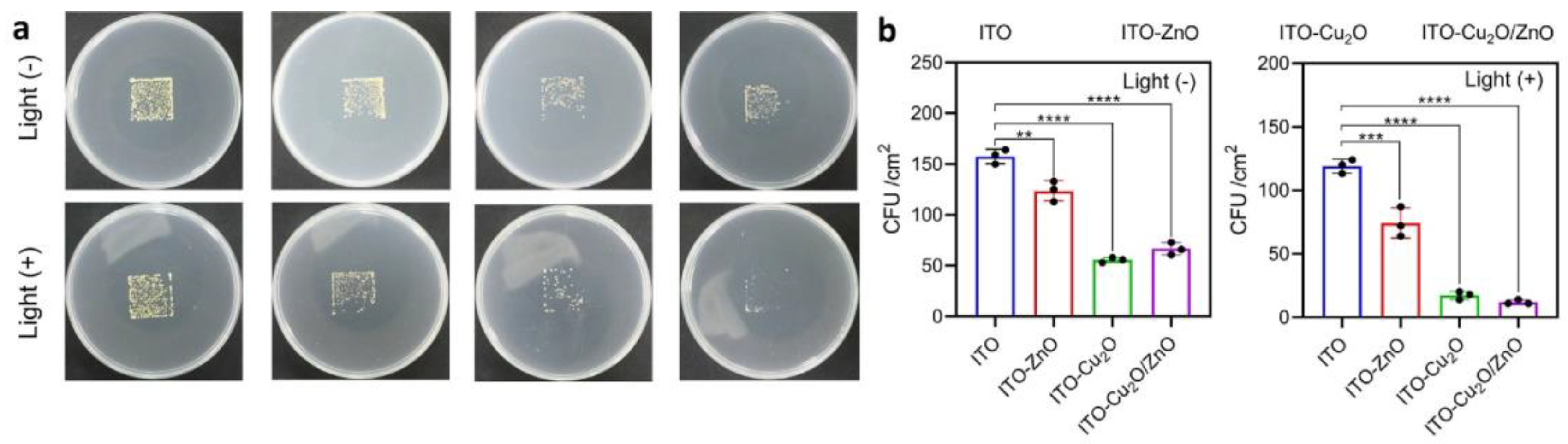 Preprints 88173 g013