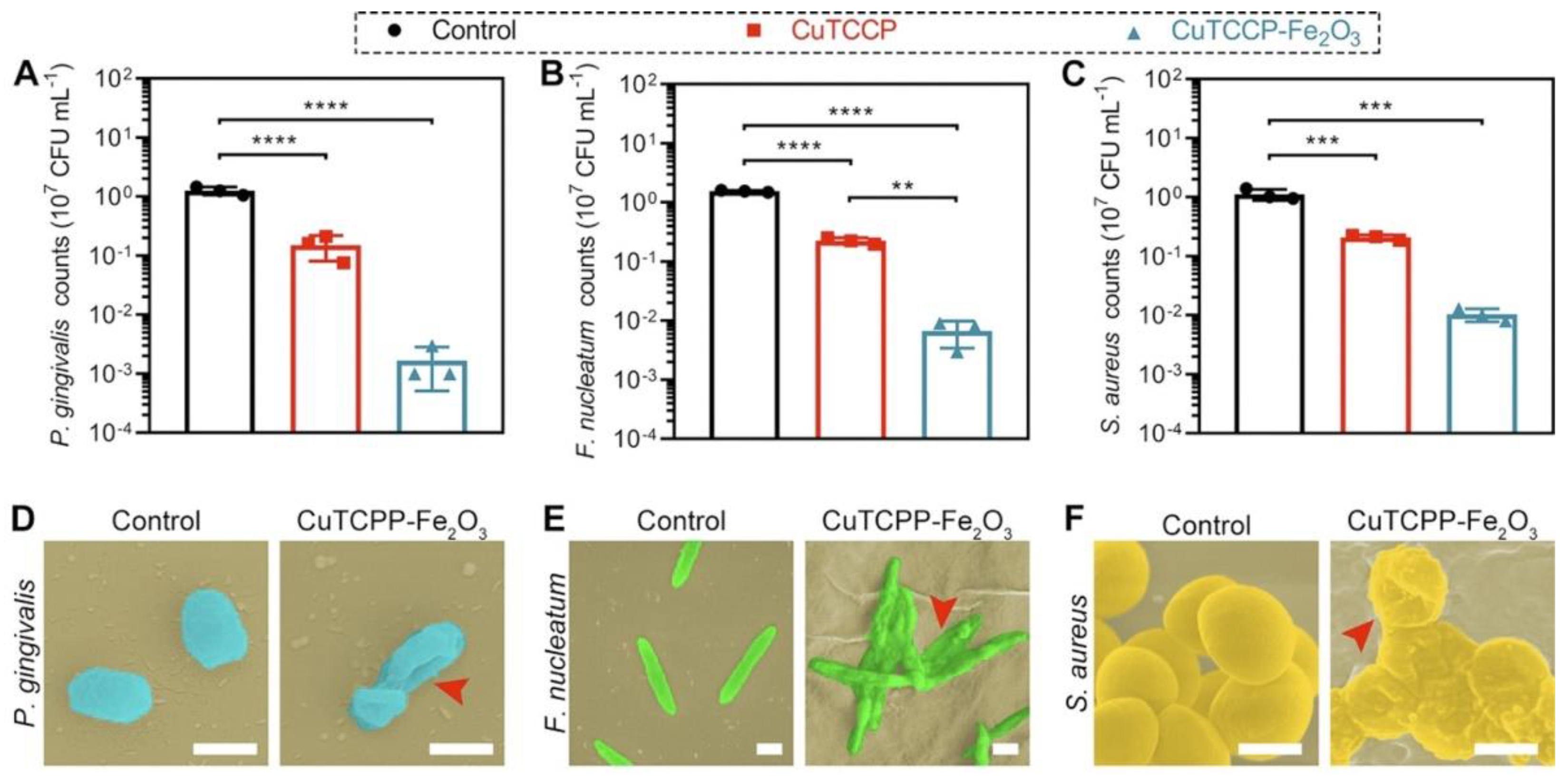 Preprints 88173 g015