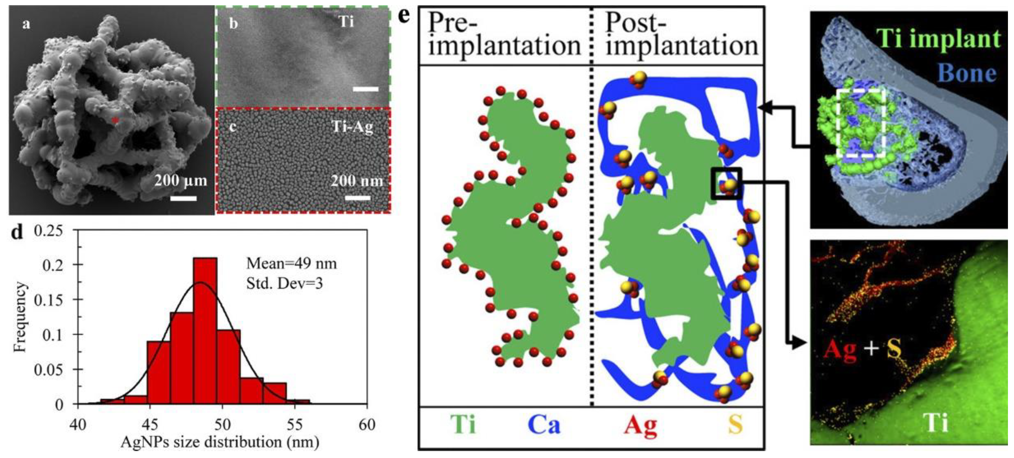 Preprints 88173 g017