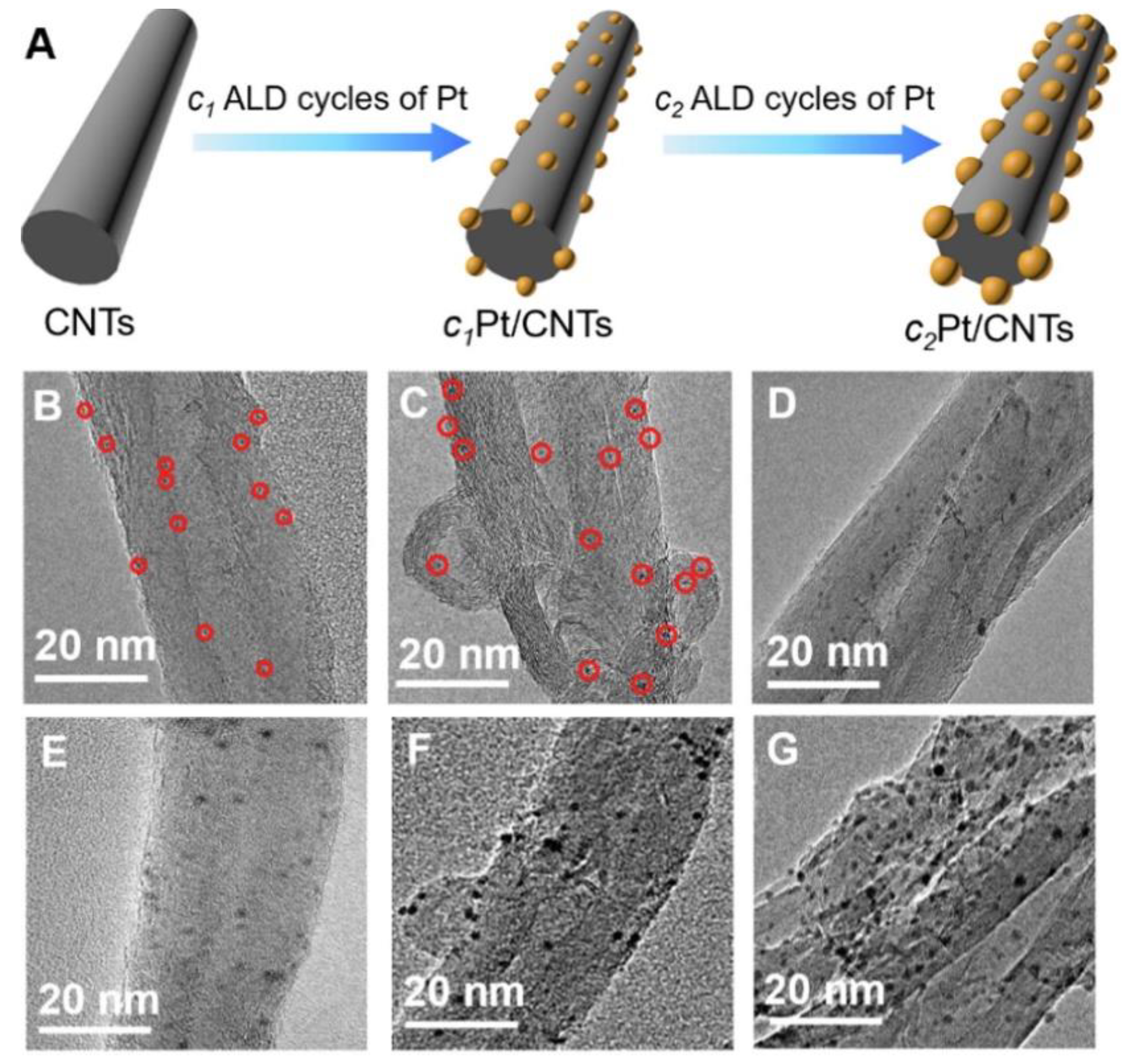 Preprints 88173 g018