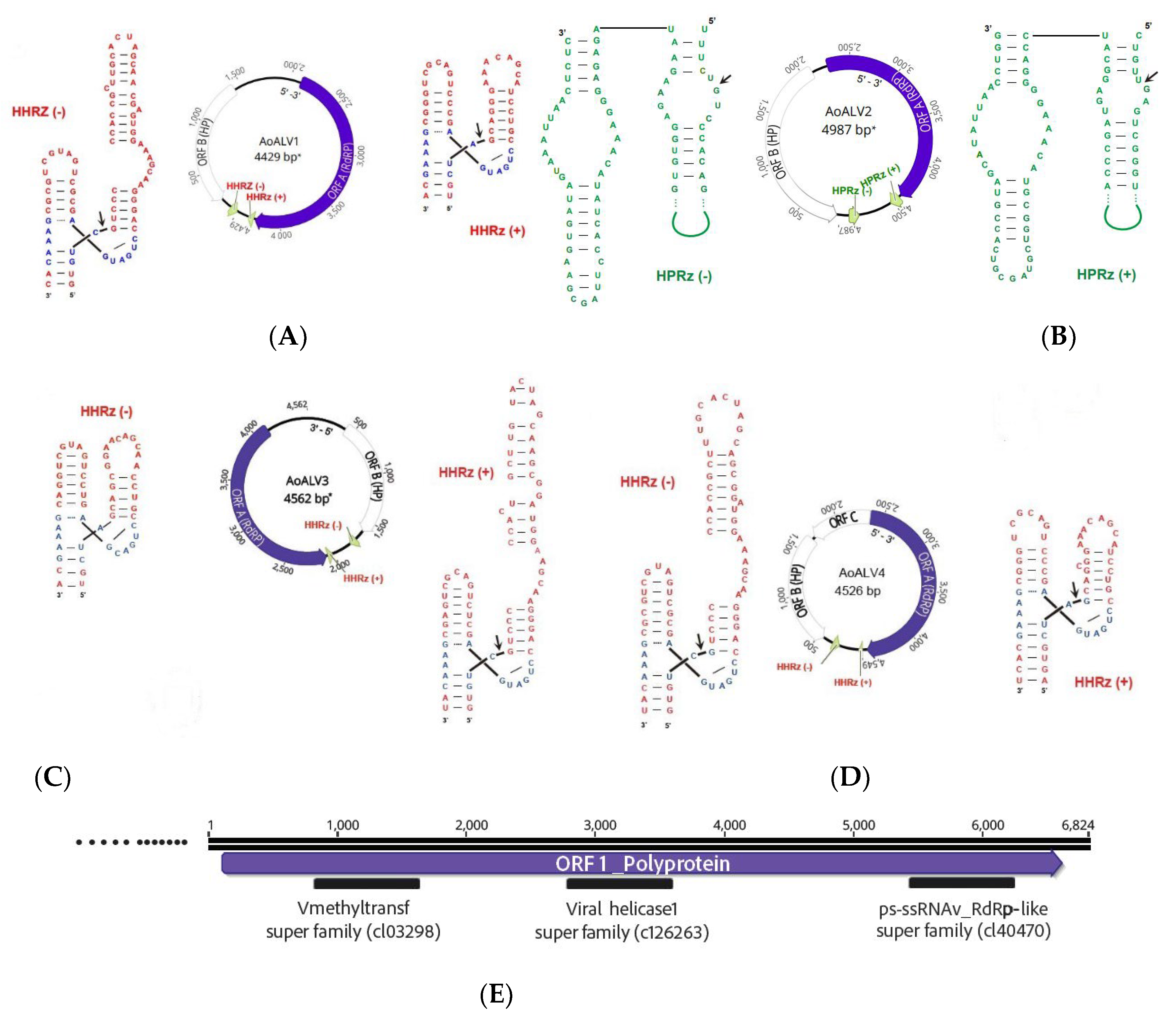 Preprints 102829 g001