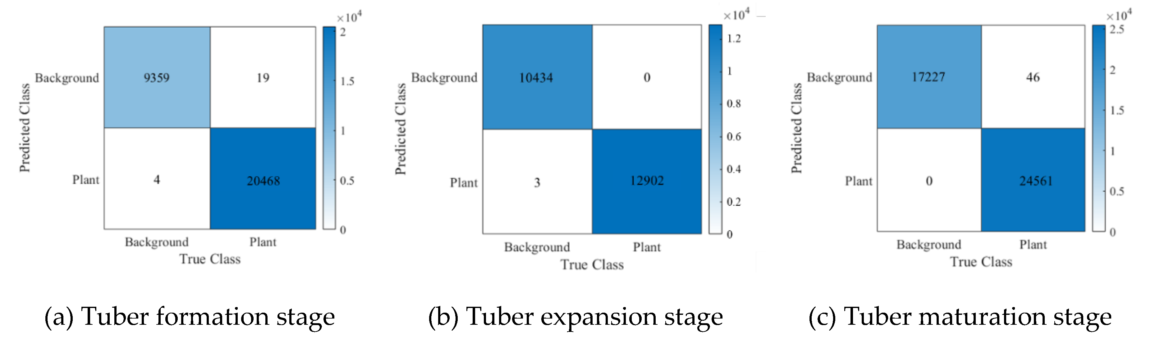 Preprints 110883 g004