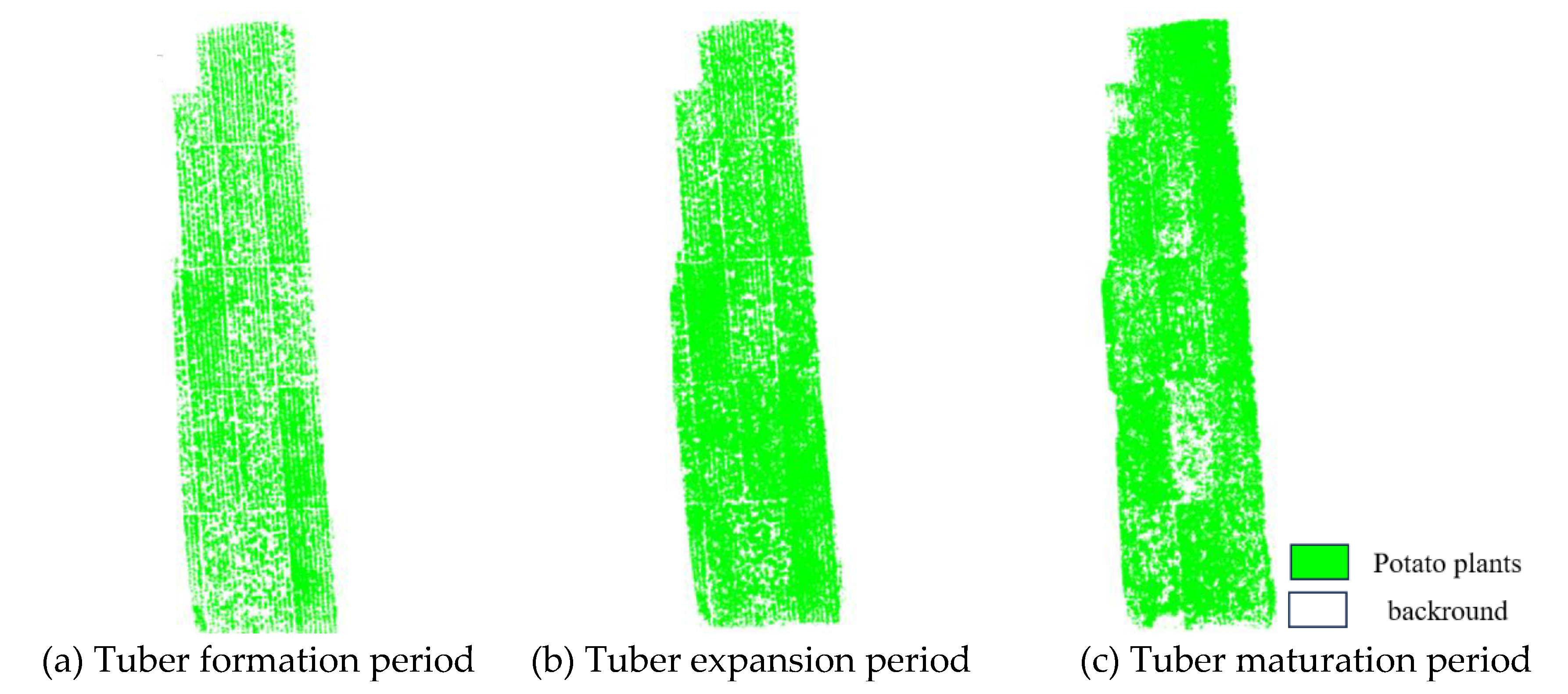 Preprints 110883 g010