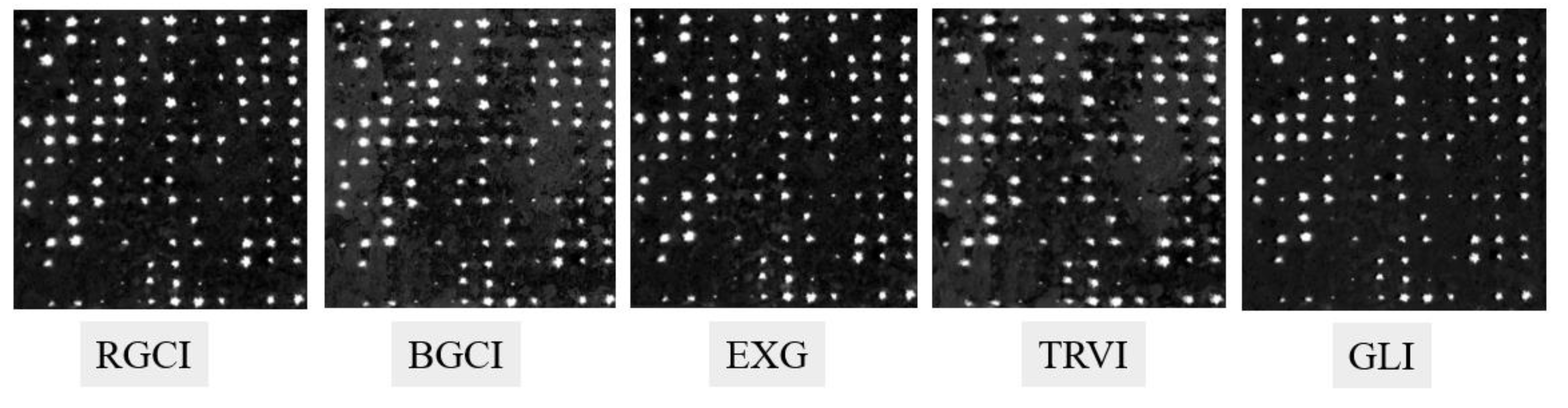 Preprints 110883 g015