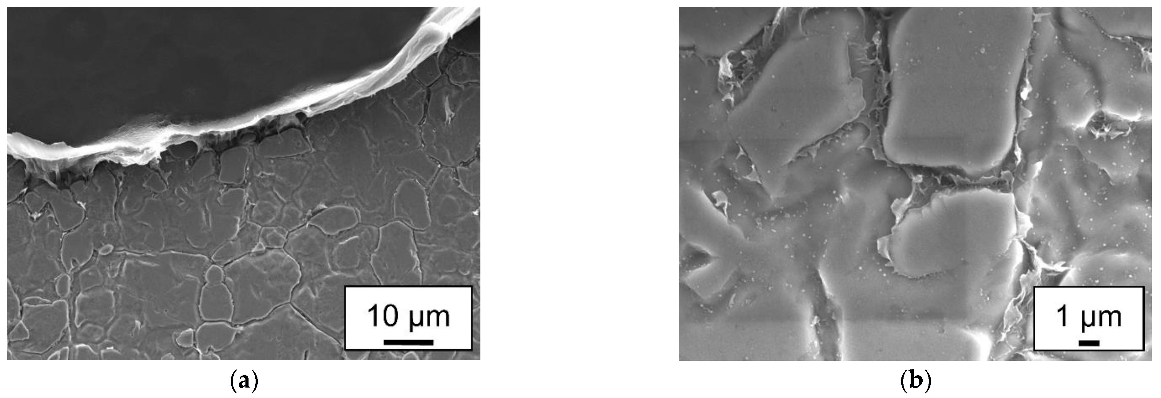 Preprints 90588 g008