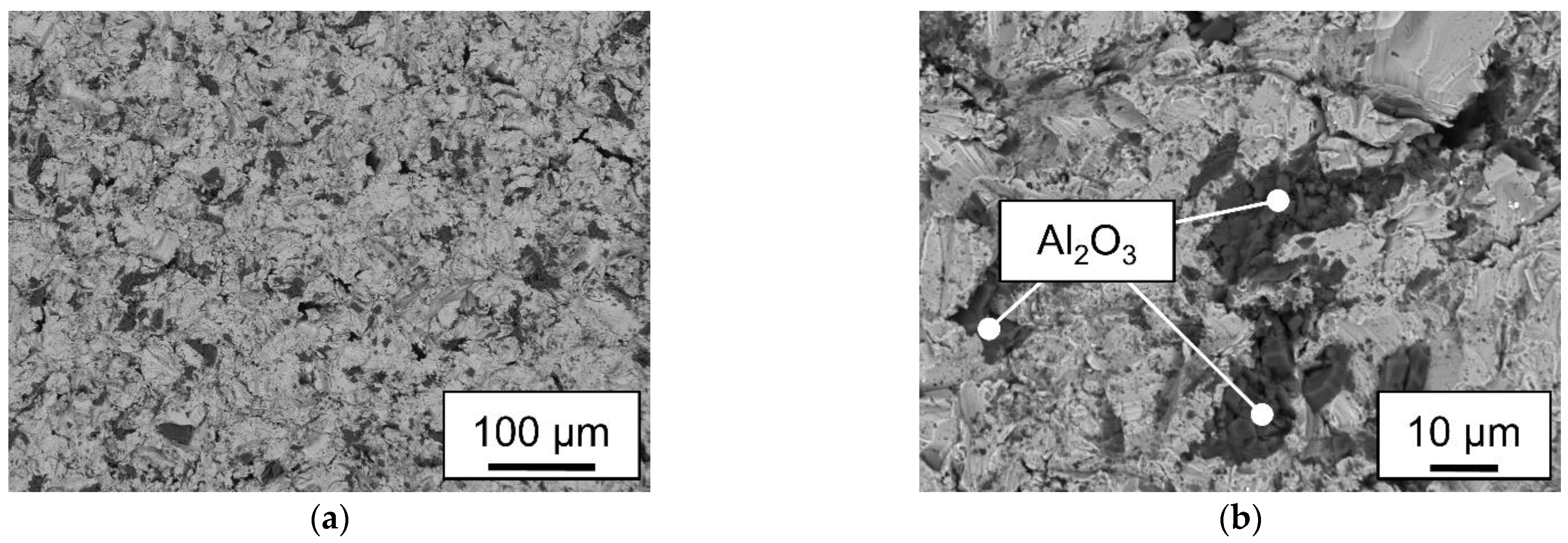 Preprints 90588 g012