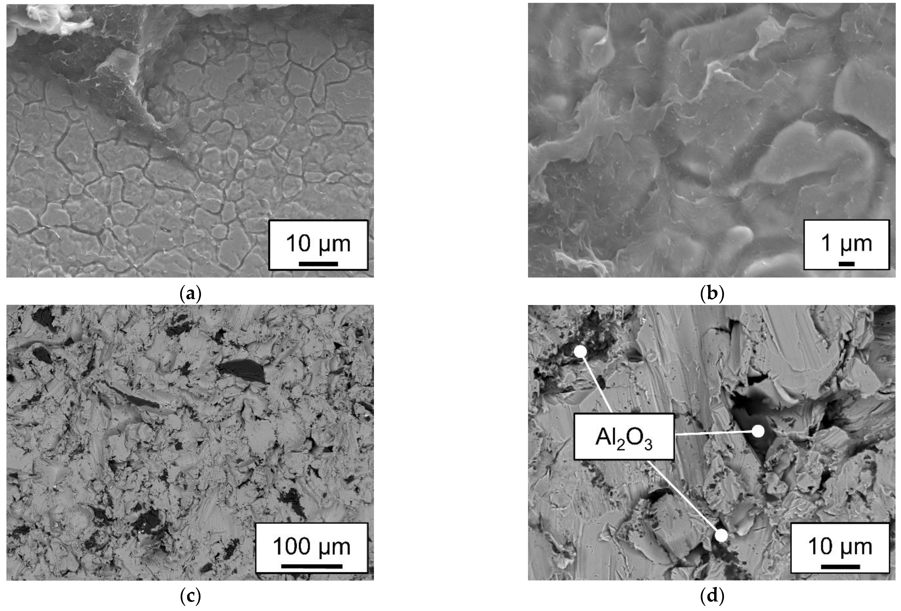 Preprints 90588 g017