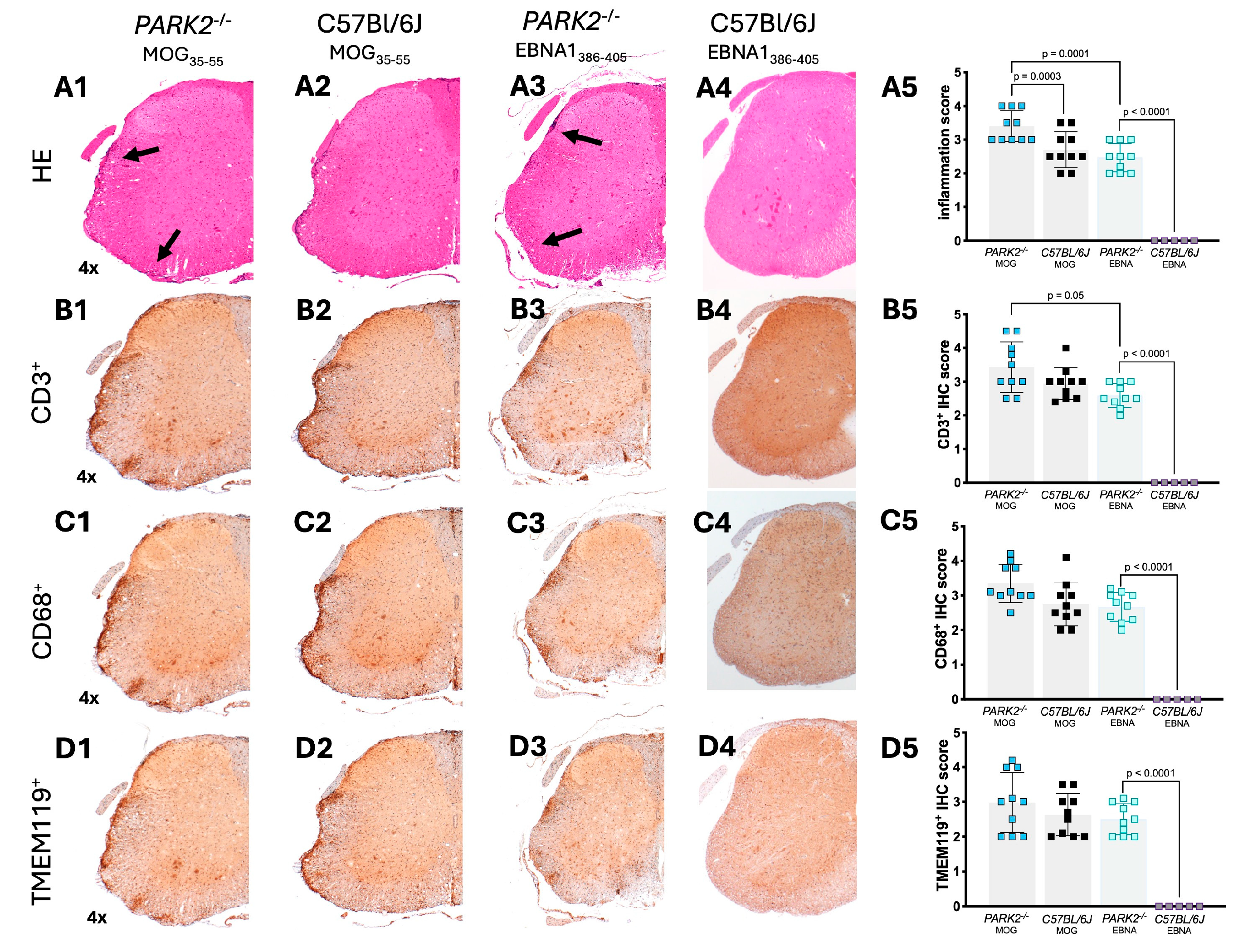 Preprints 116176 g003