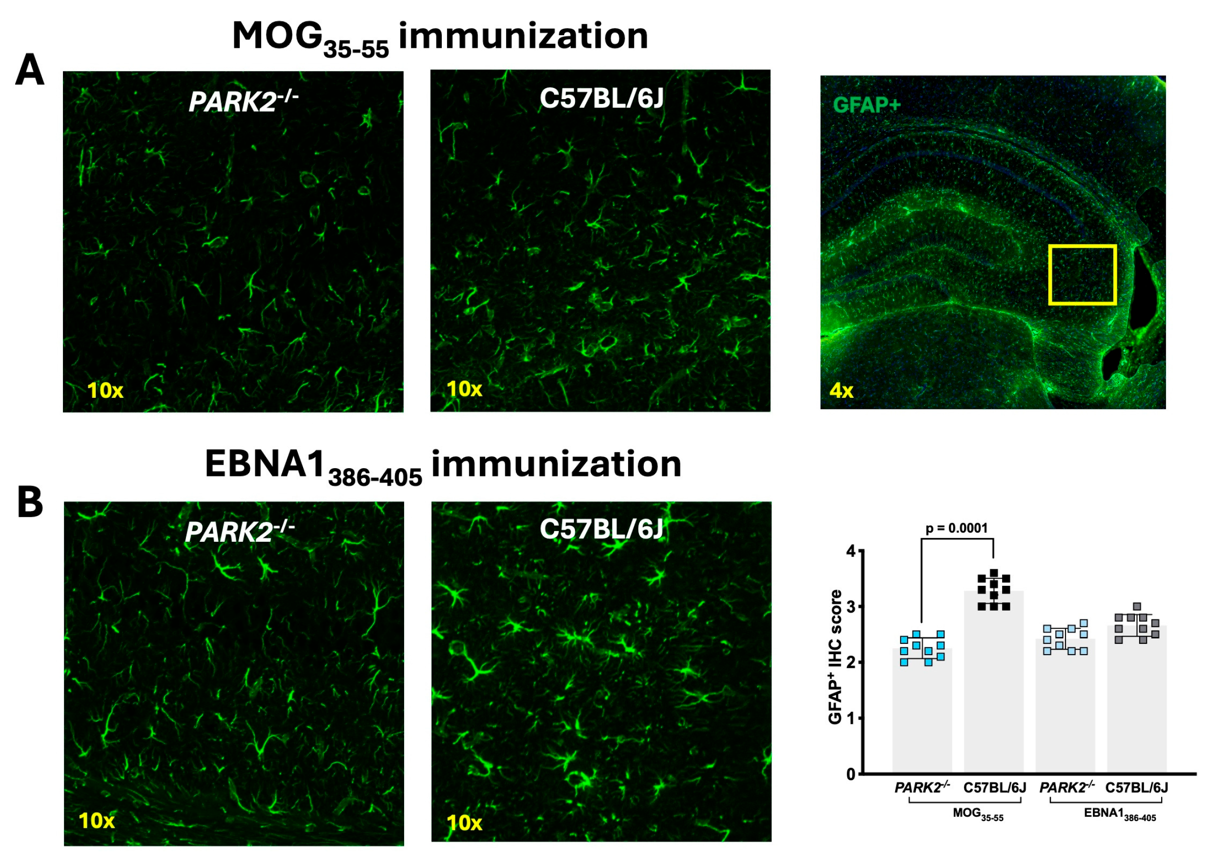 Preprints 116176 g004