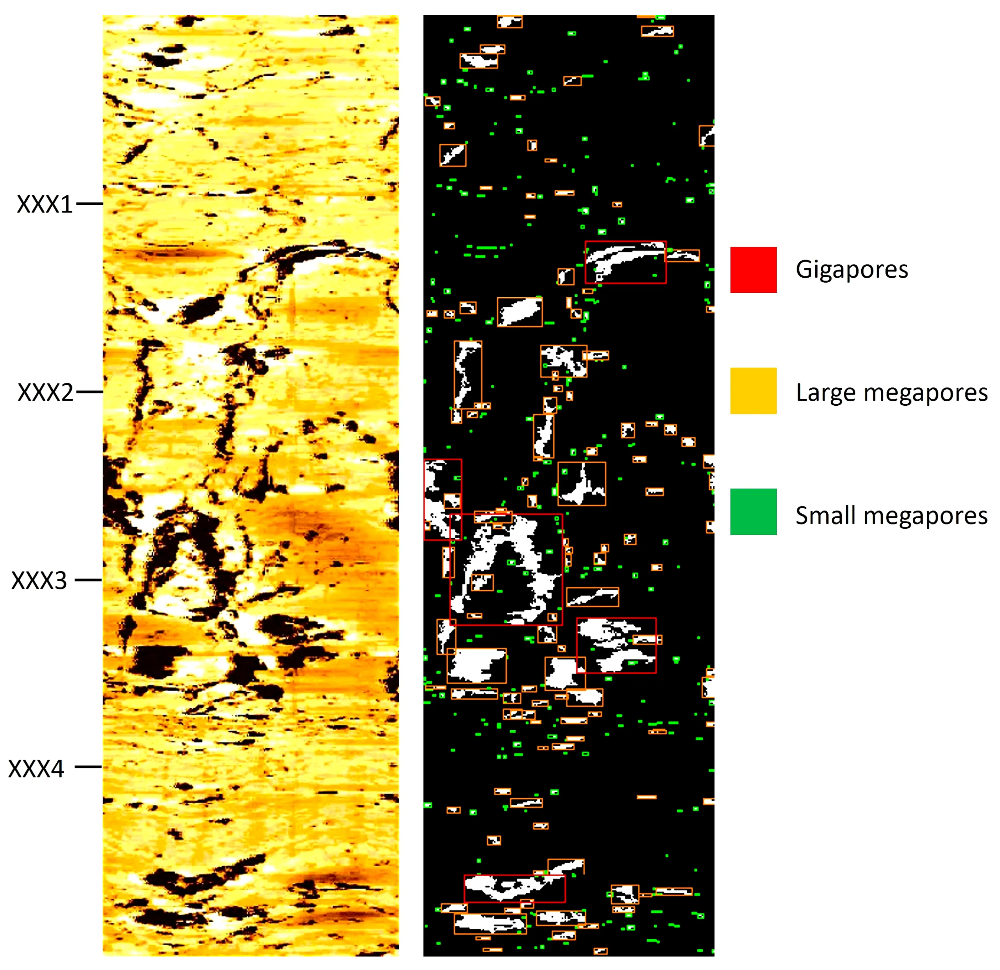 Preprints 109092 g010