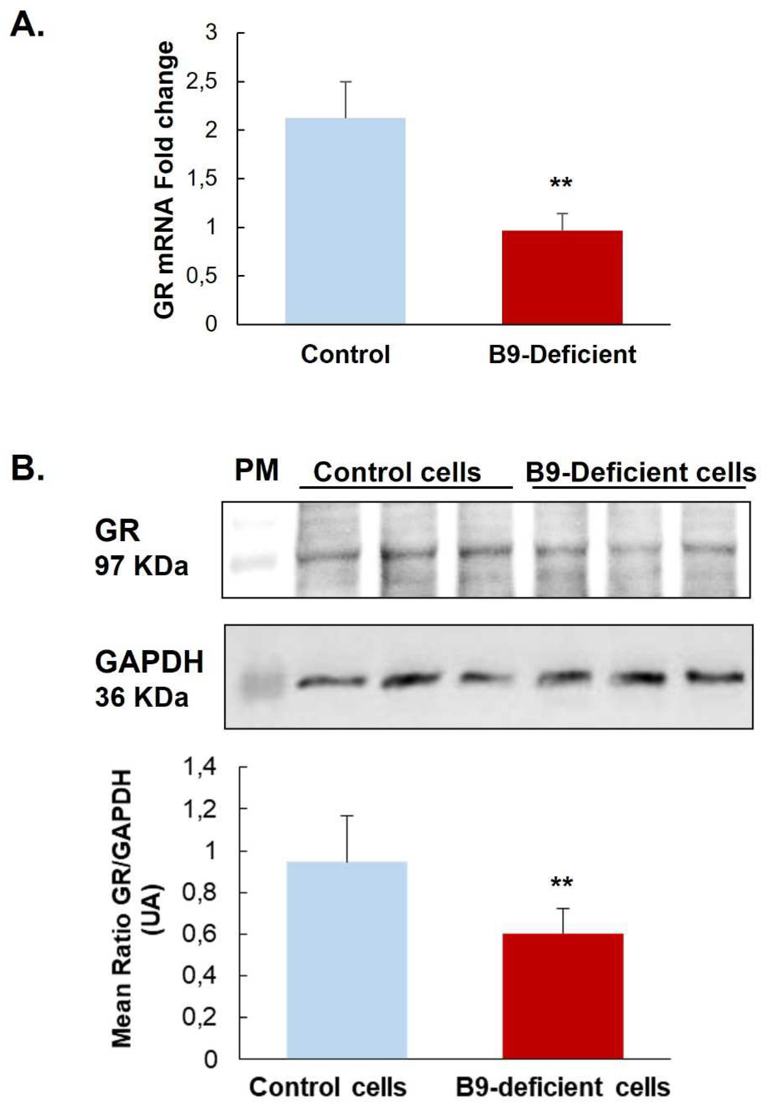 Preprints 71054 g001