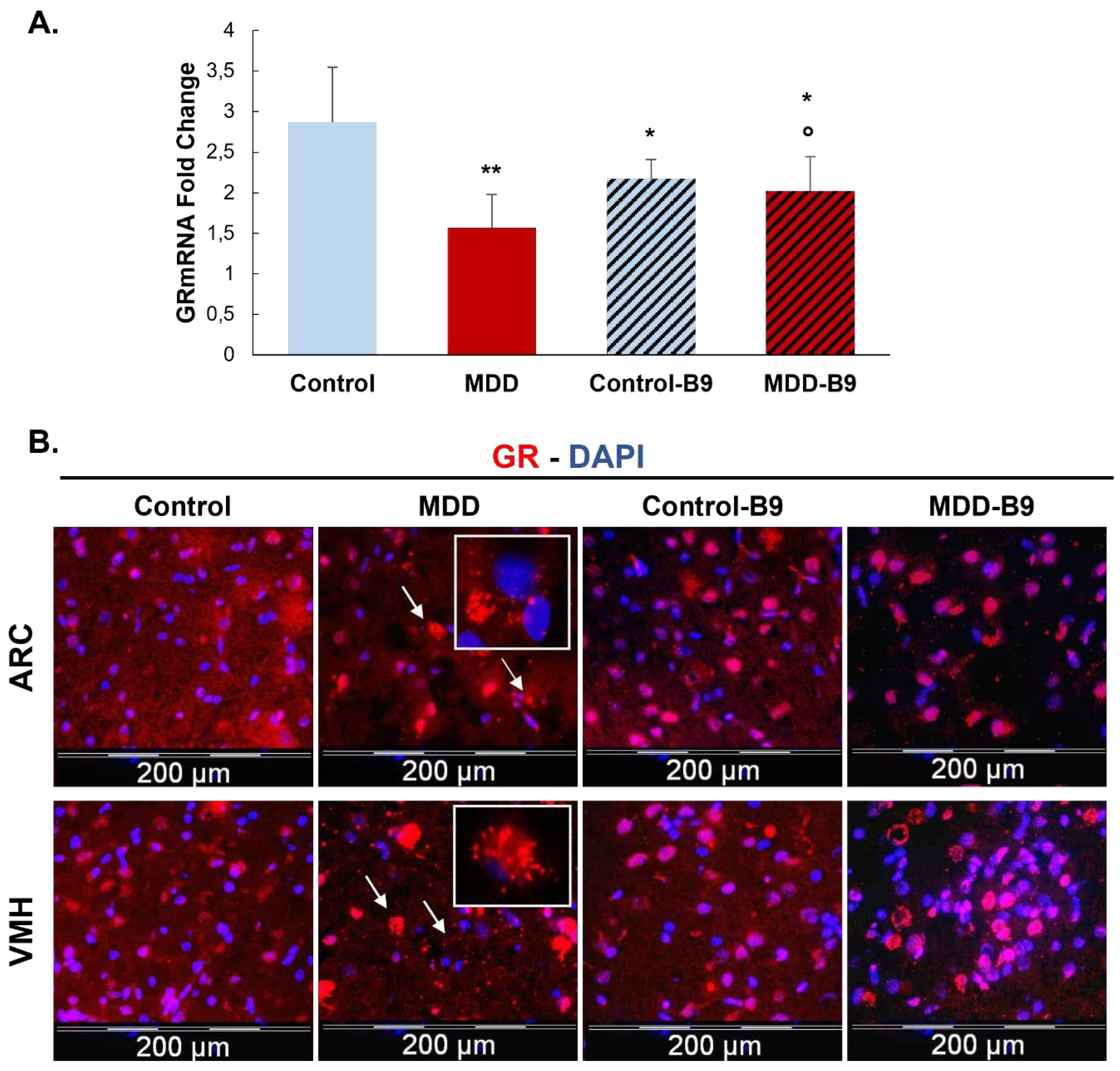 Preprints 71054 g002