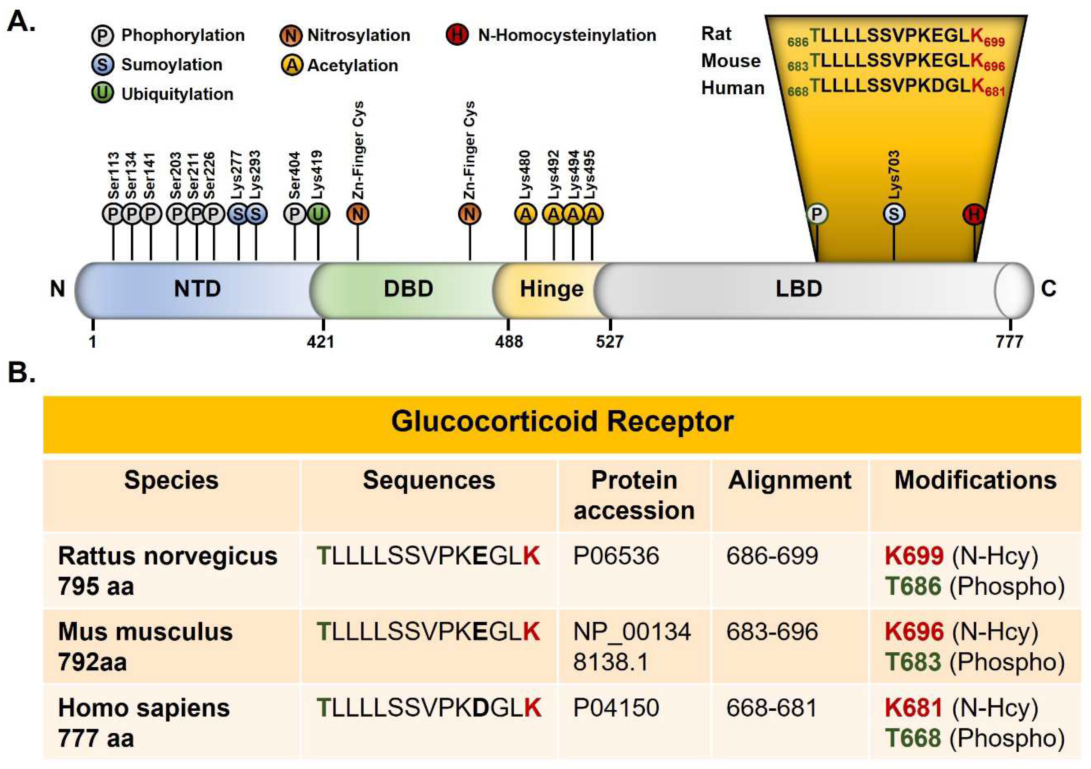 Preprints 71054 g003