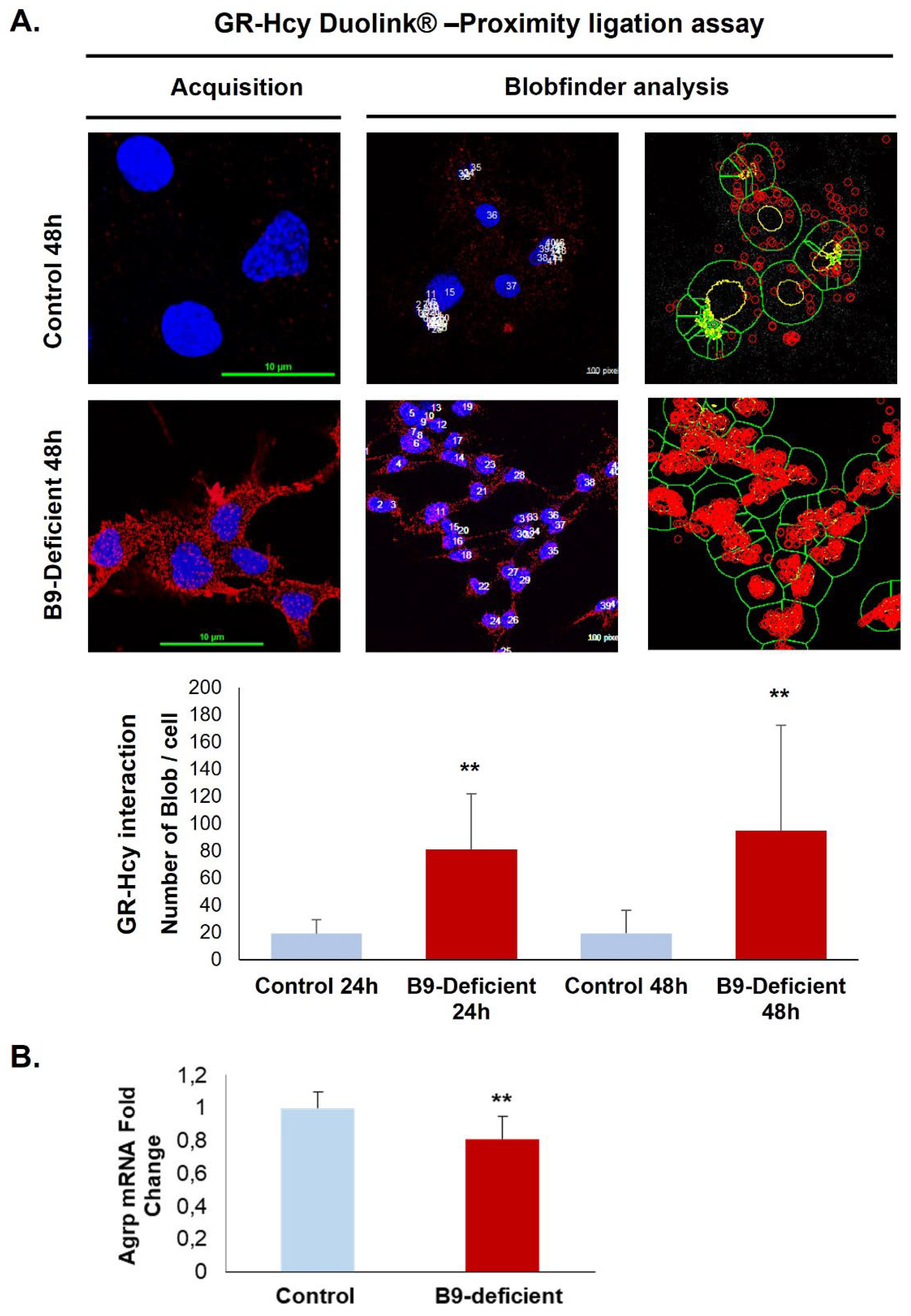 Preprints 71054 g004