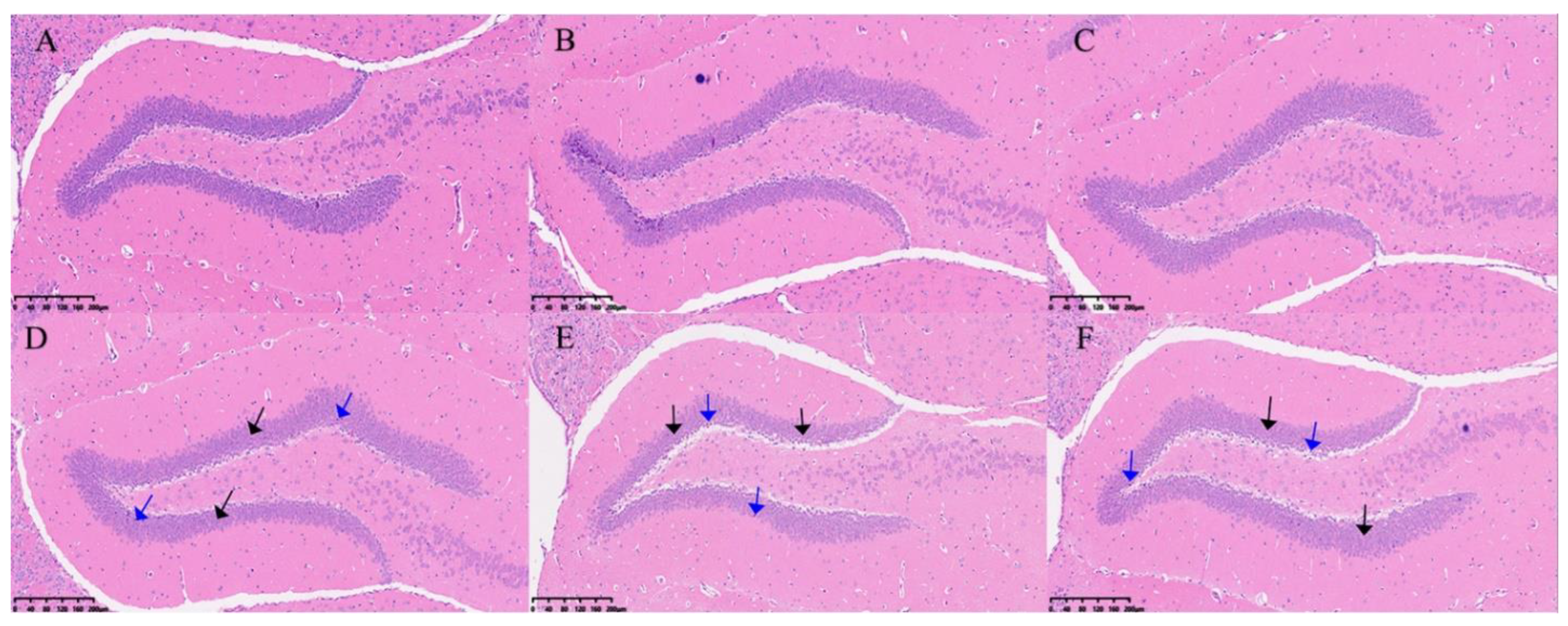 Preprints 93498 g003