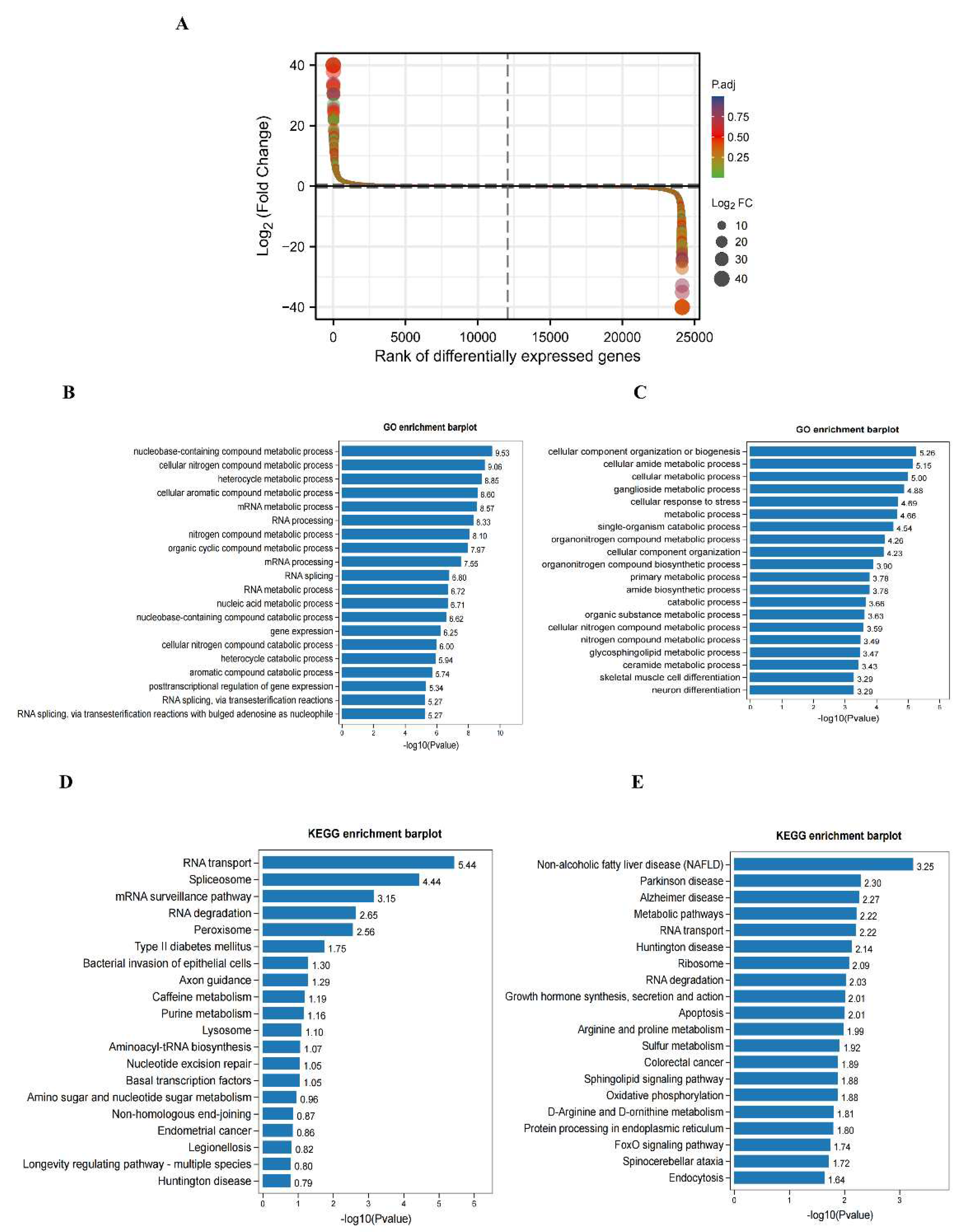 Preprints 93498 g004