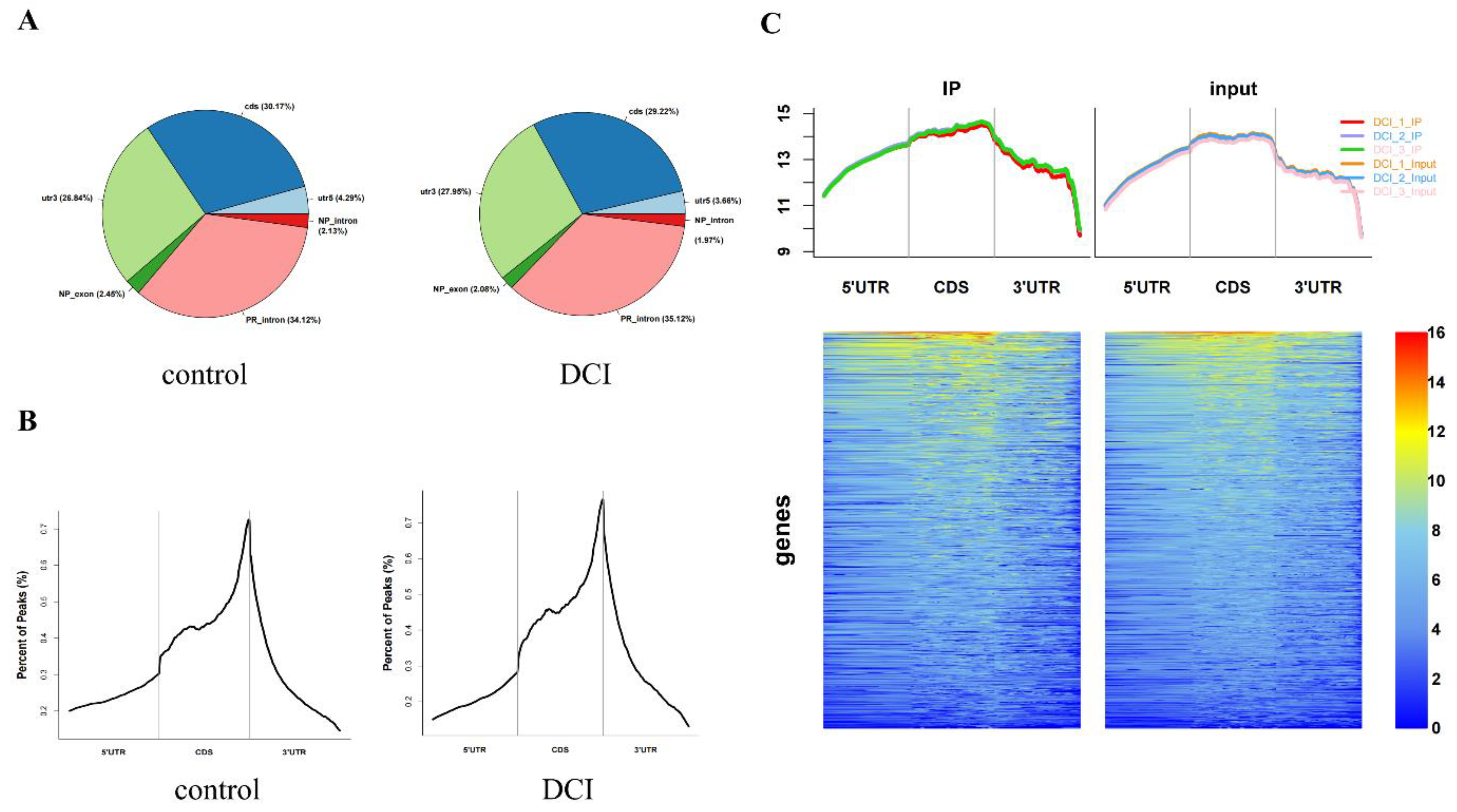 Preprints 93498 g006