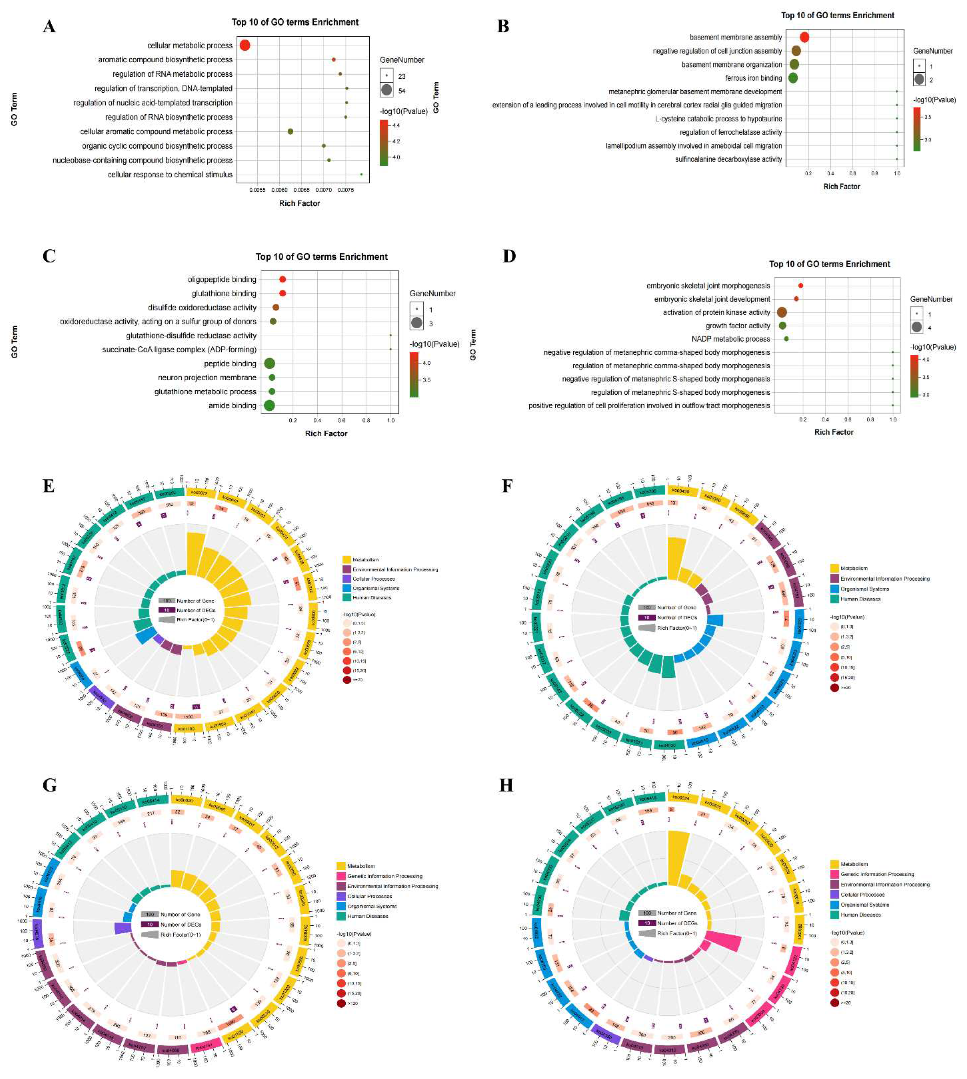 Preprints 93498 g011