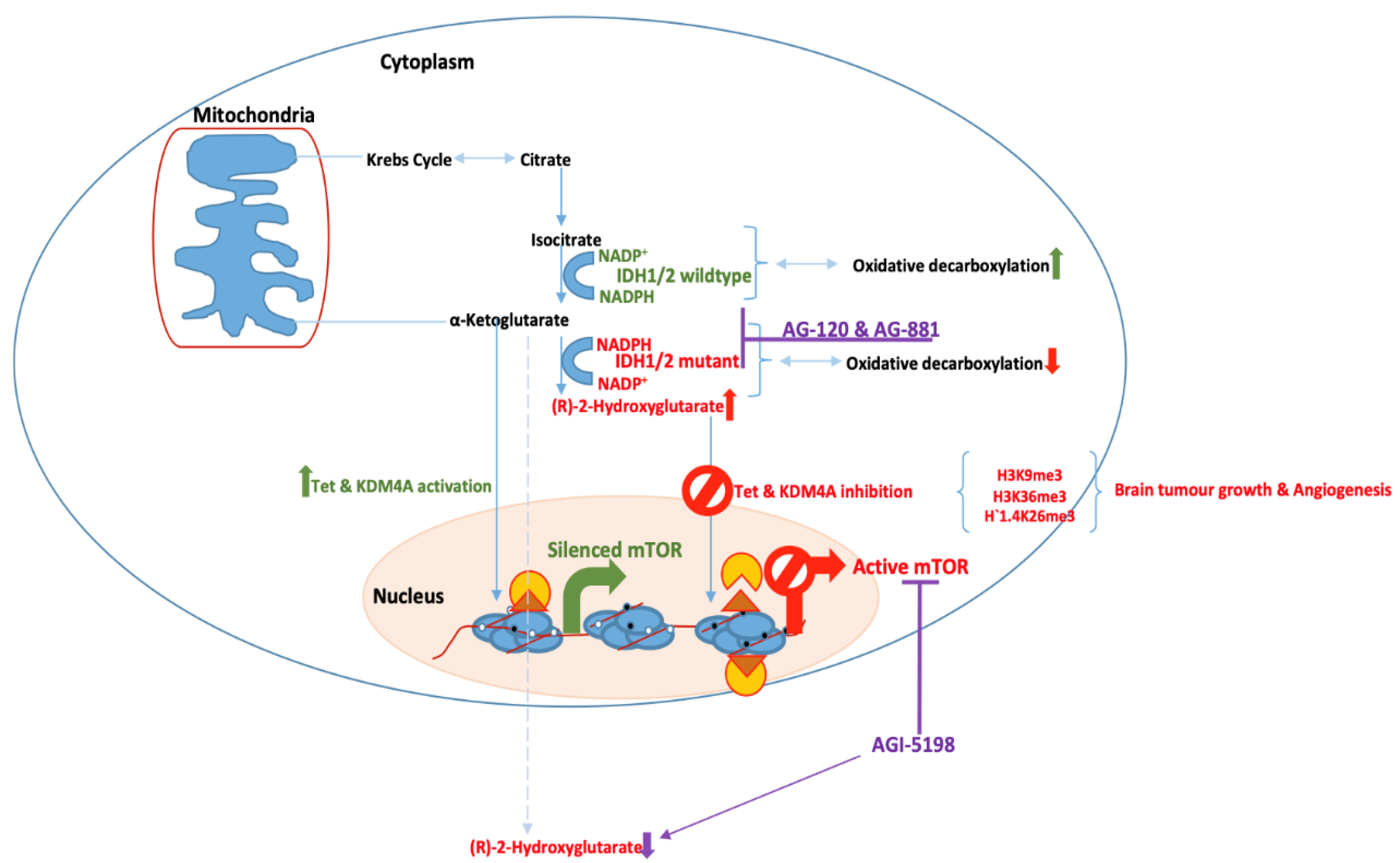 Preprints 109502 g002