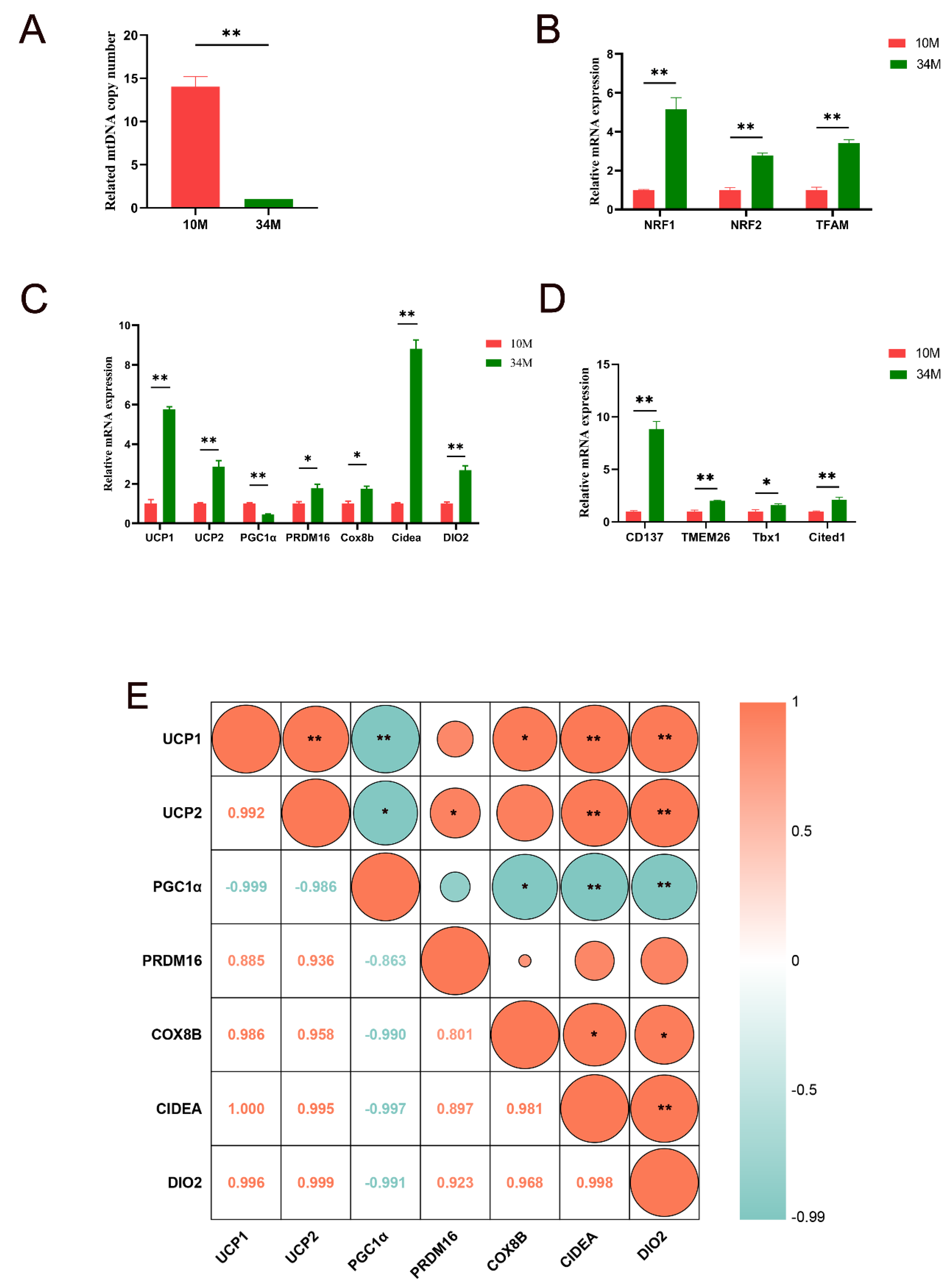 Preprints 115827 g002