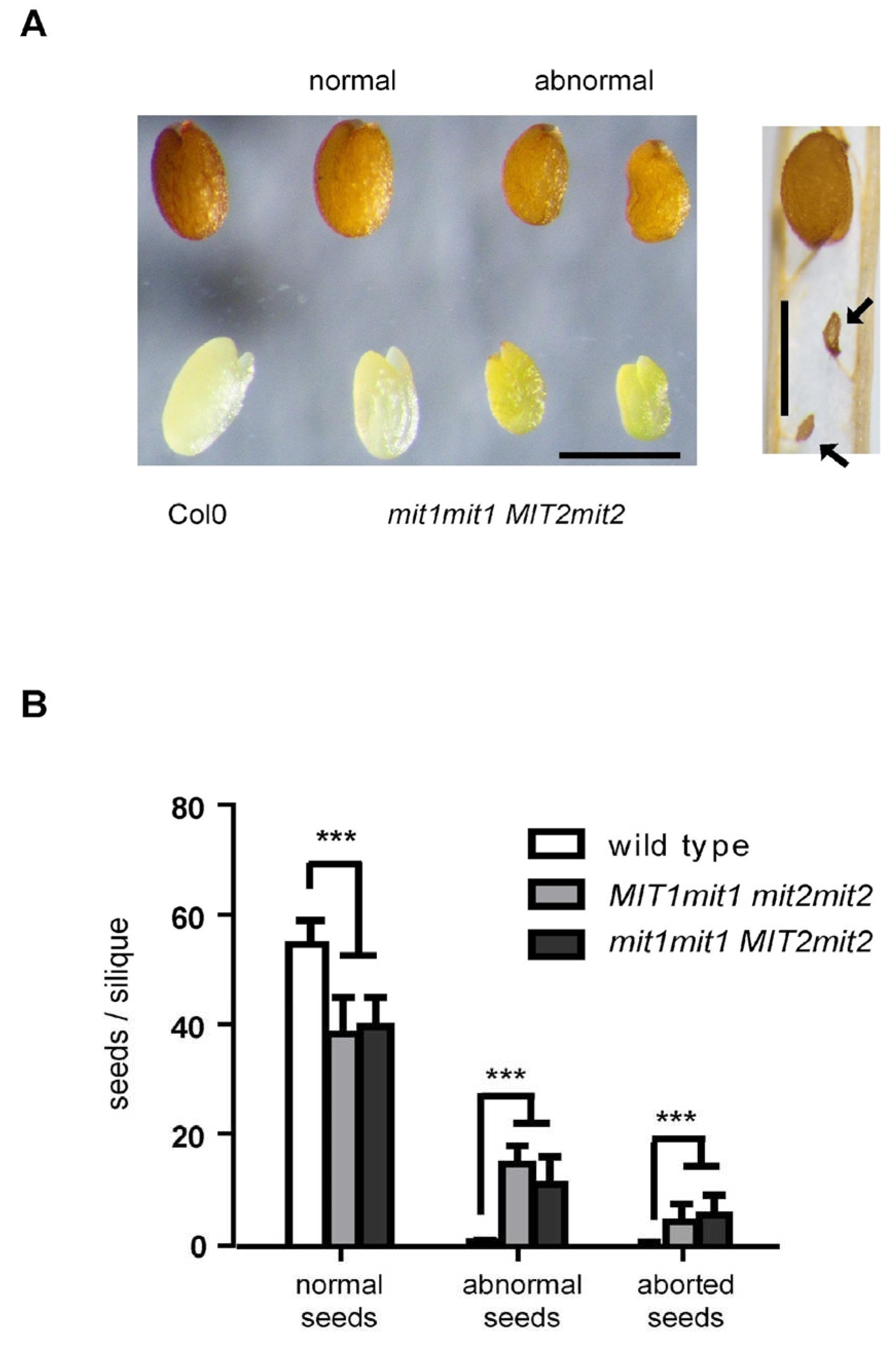 Preprints 67042 g002