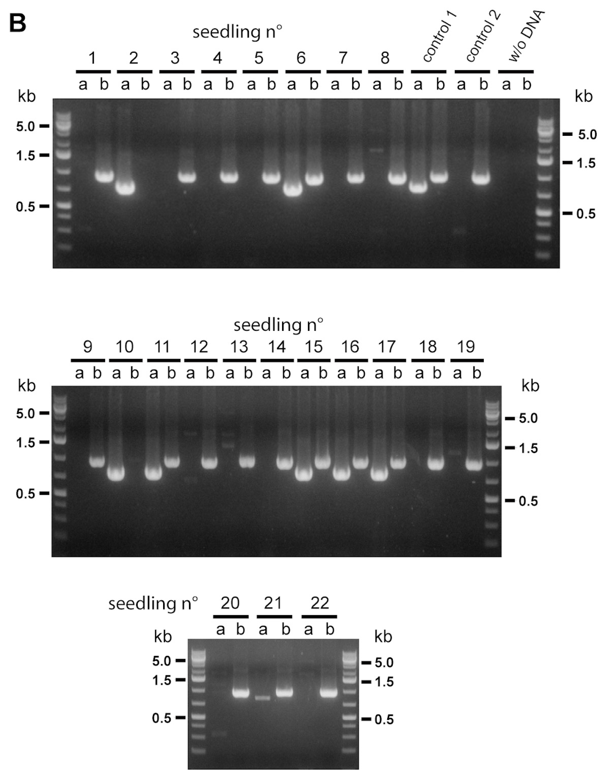 Preprints 67042 g004b