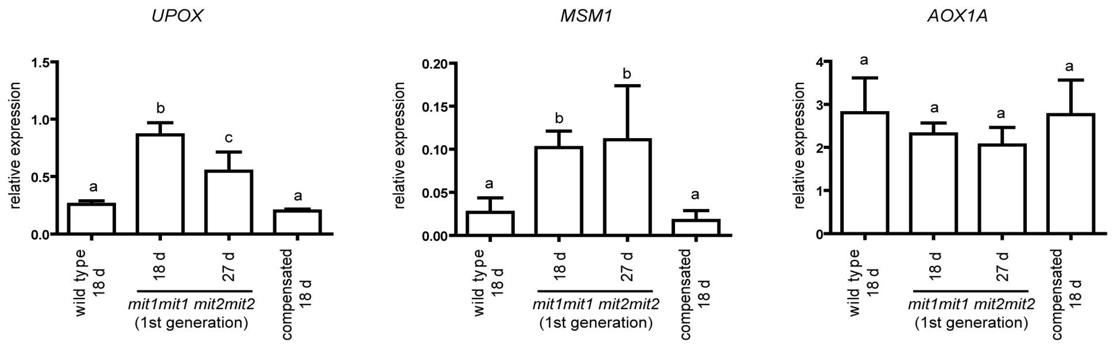 Preprints 67042 g008