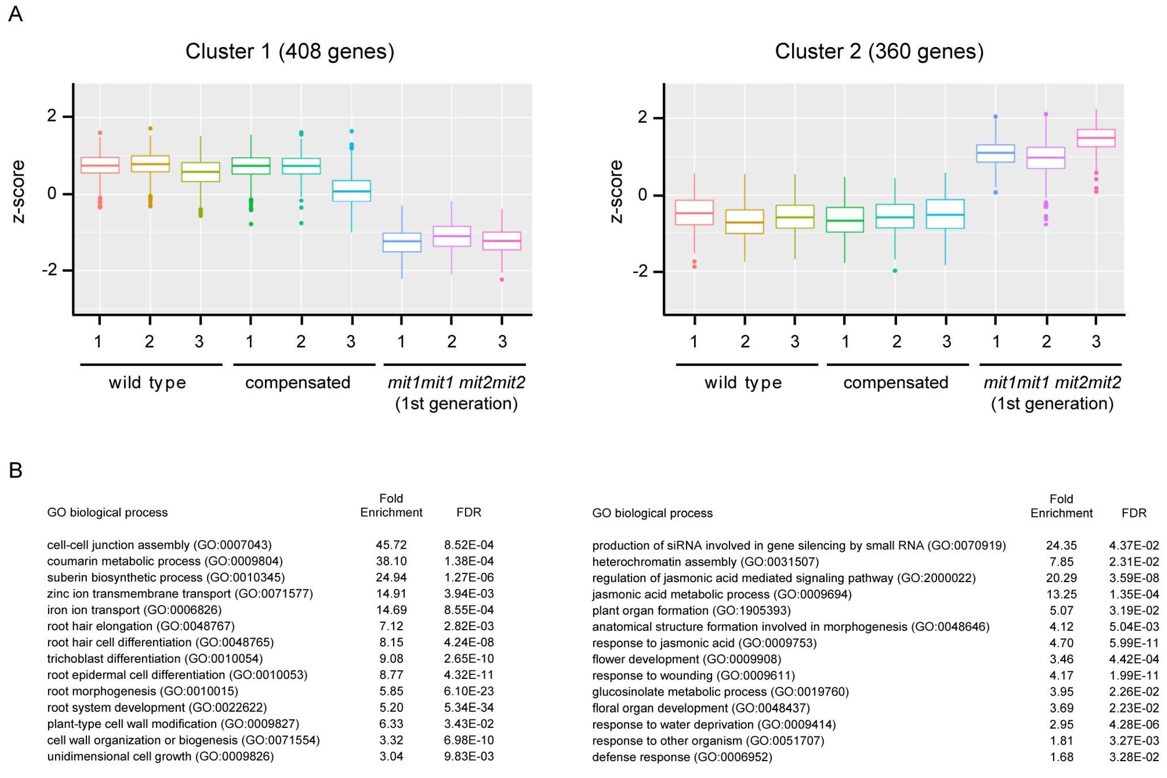 Preprints 67042 g009