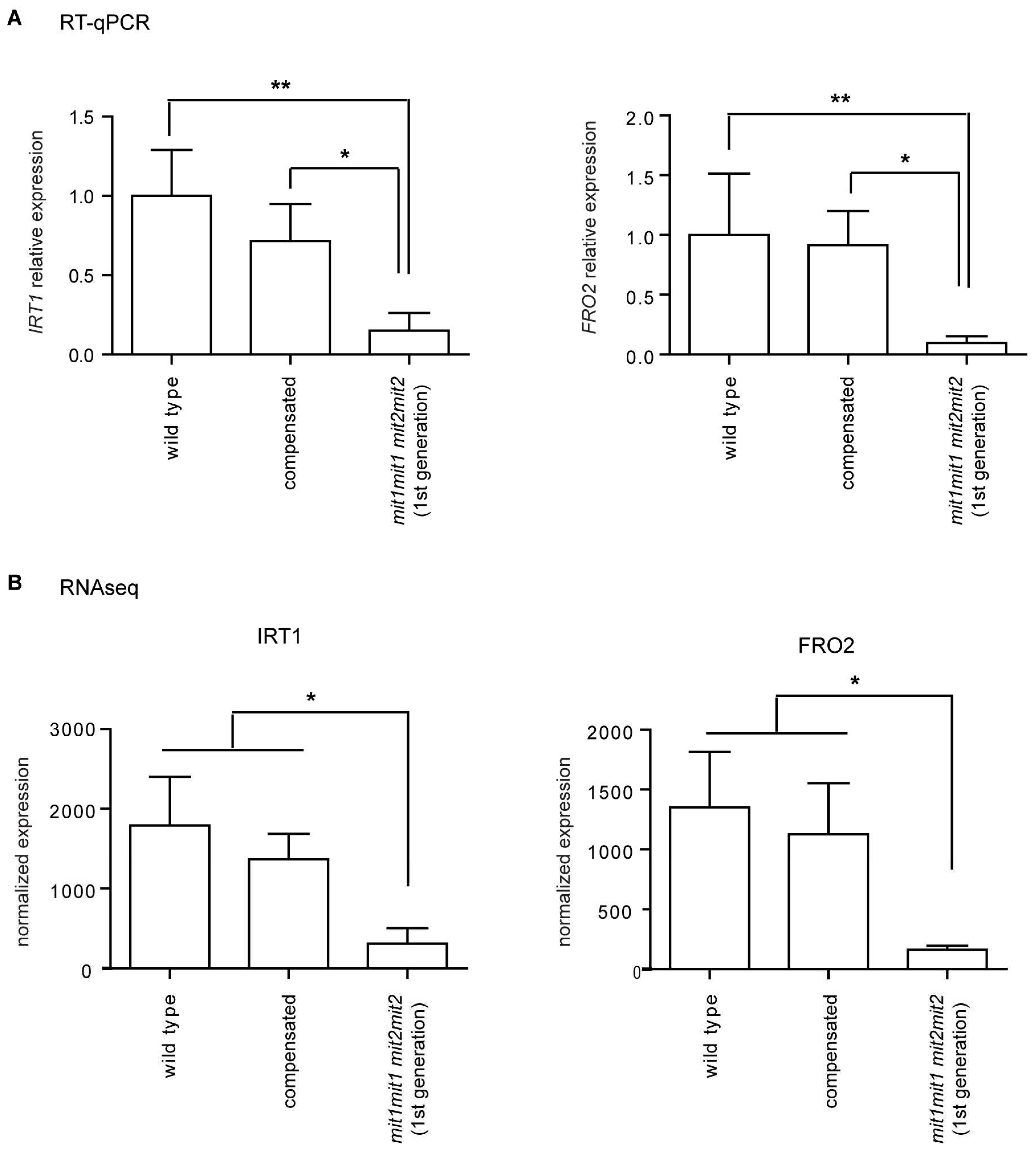 Preprints 67042 g010