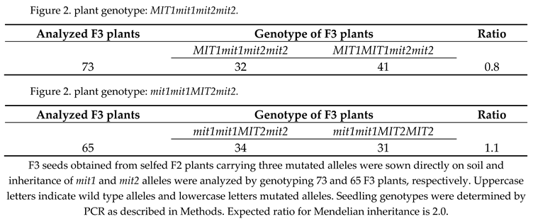 Preprints 67042 i001