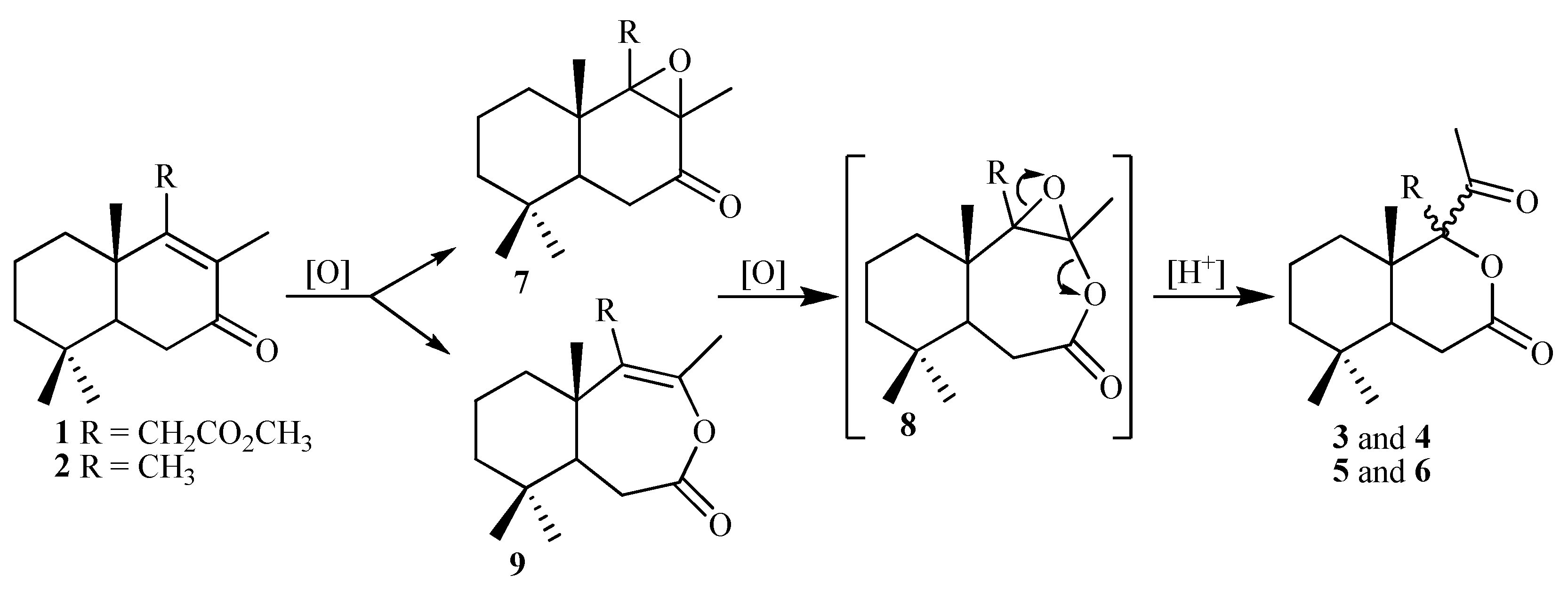 Preprints 138135 sch002