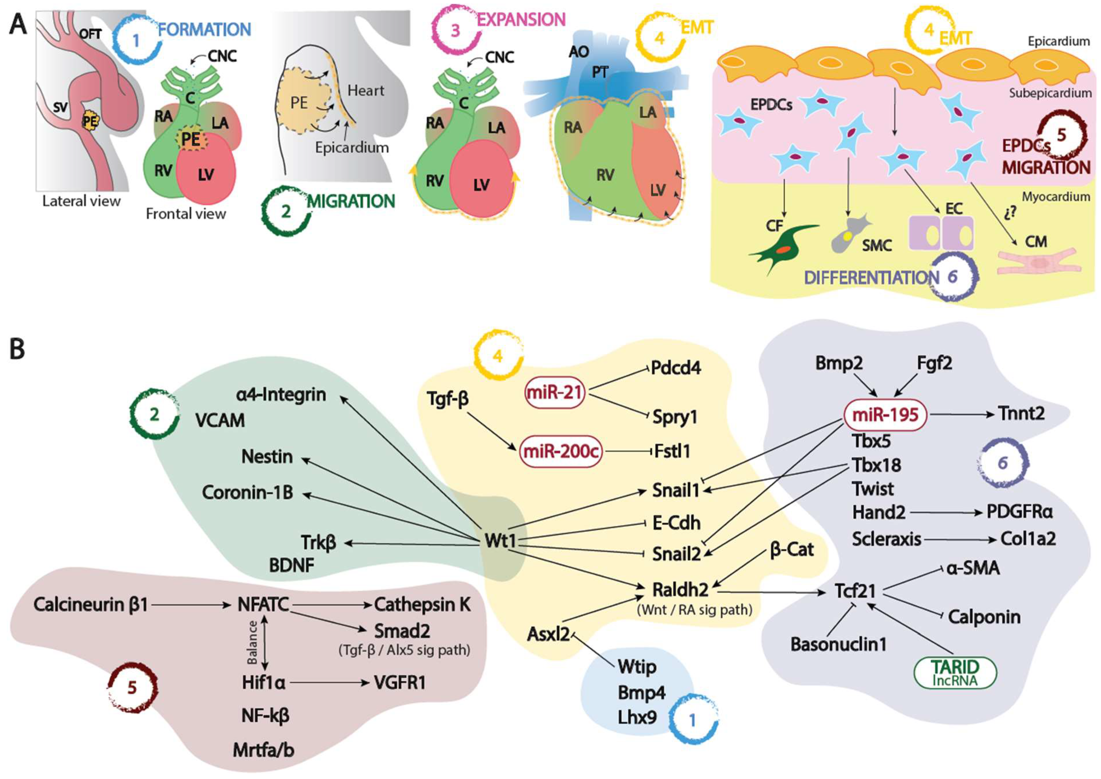 Preprints 87080 g001