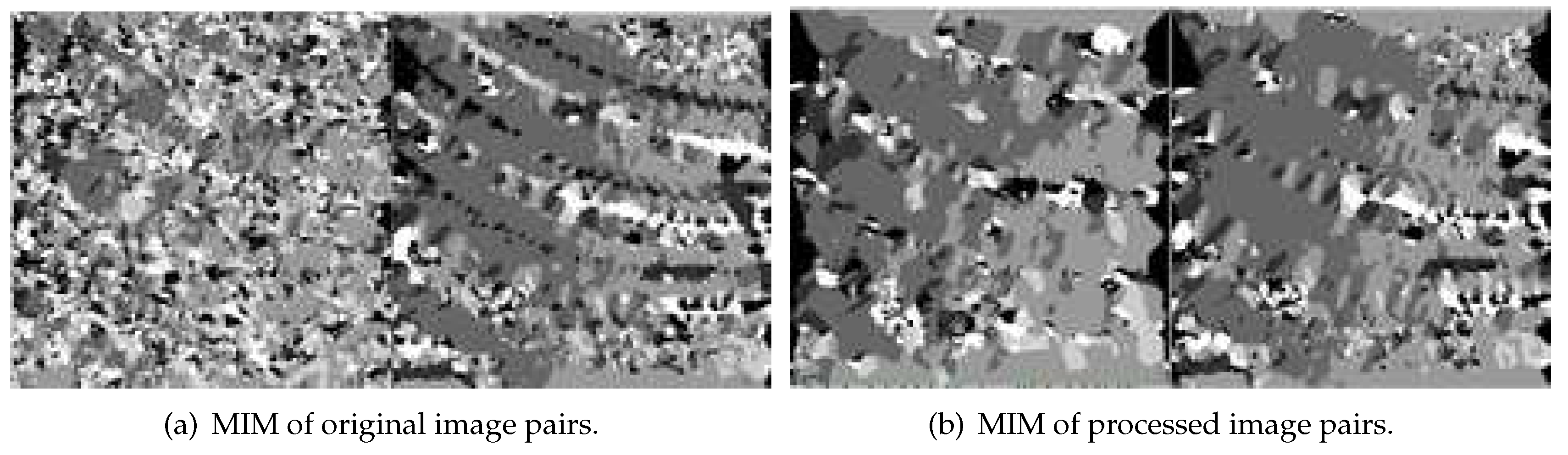 Preprints 80580 g014