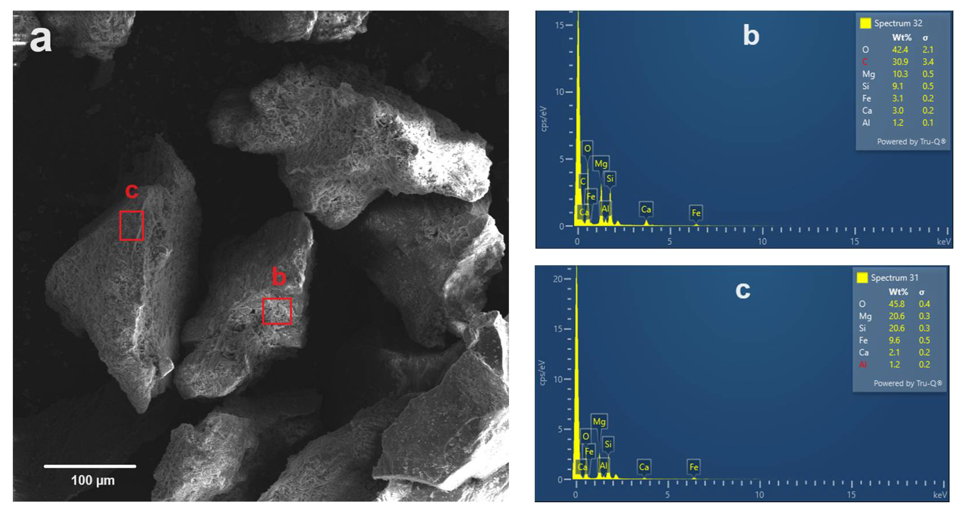 Preprints 106164 g007