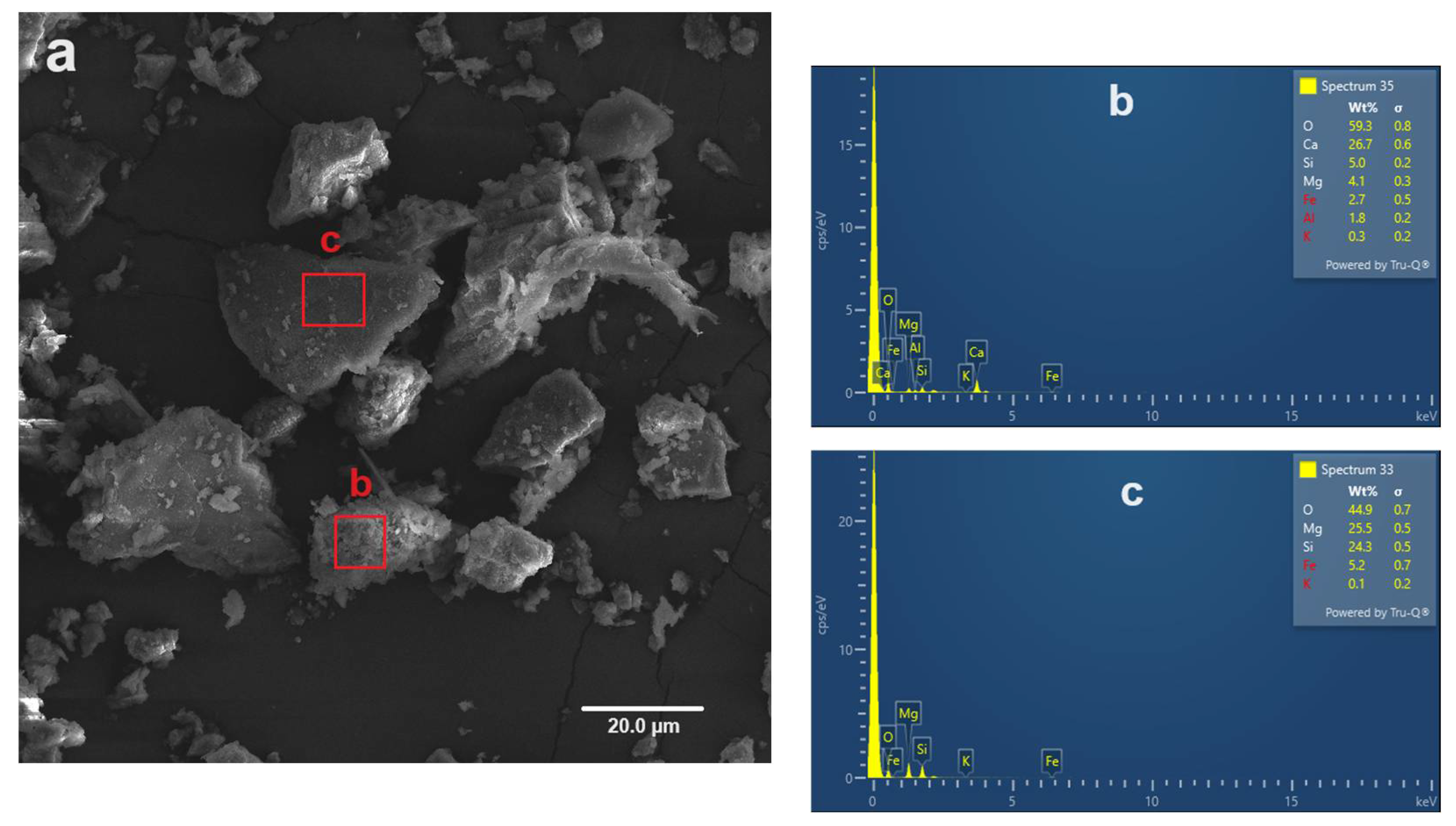 Preprints 106164 g008