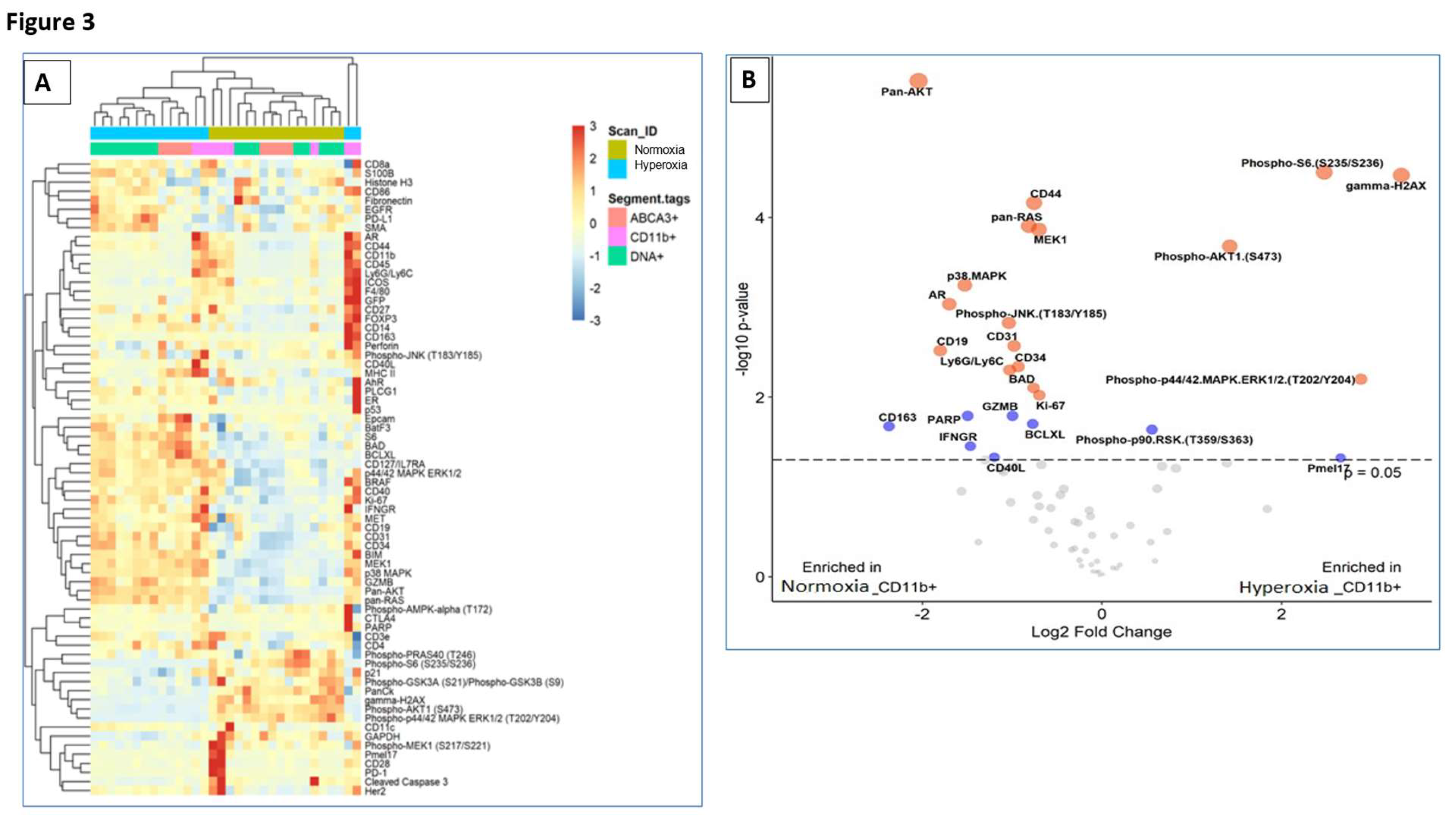 Preprints 120005 g003