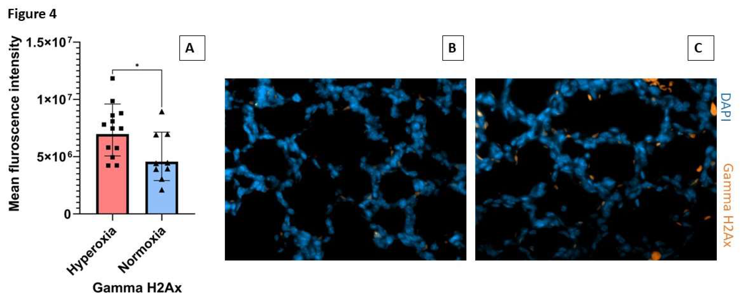 Preprints 120005 g004