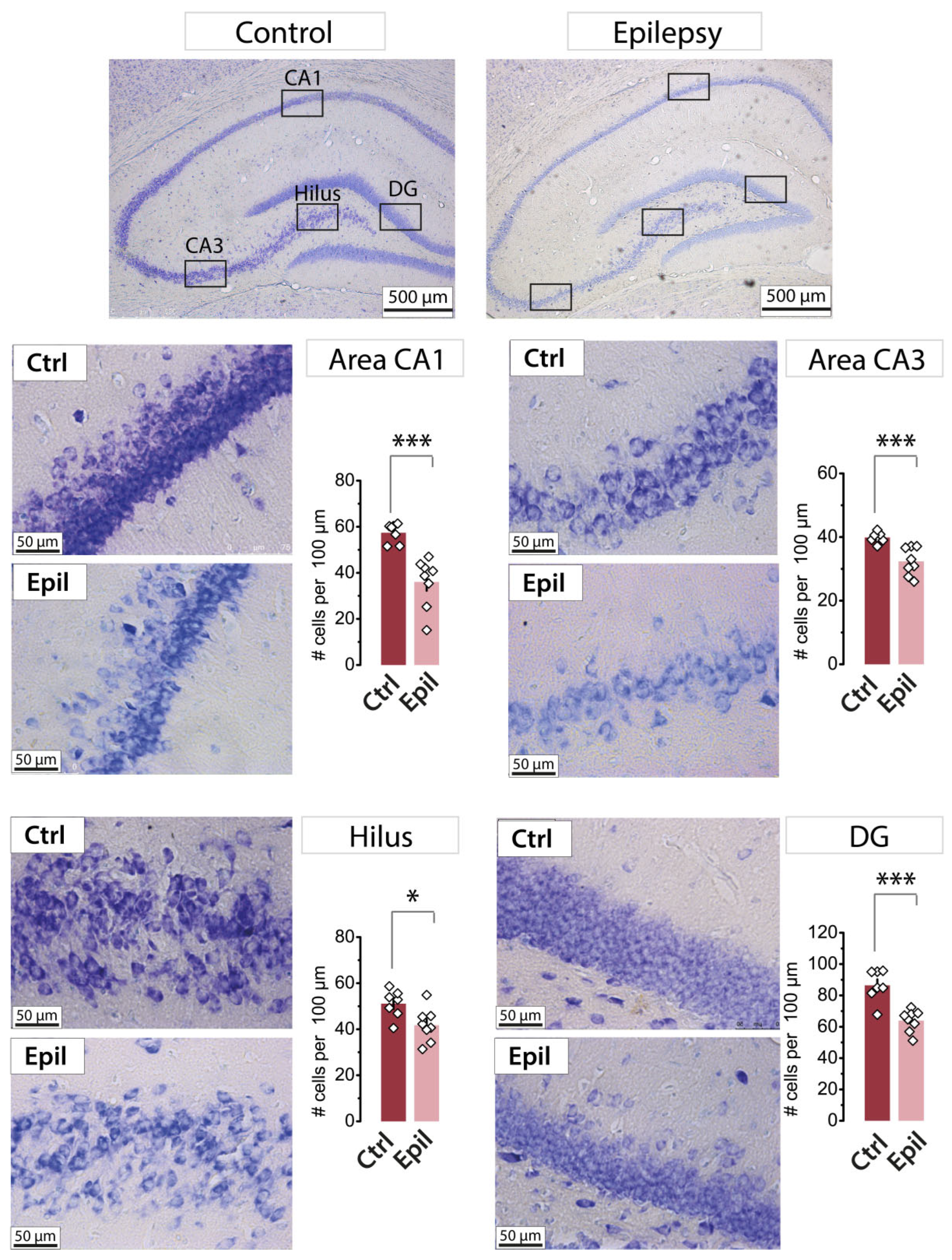 Preprints 109985 g001