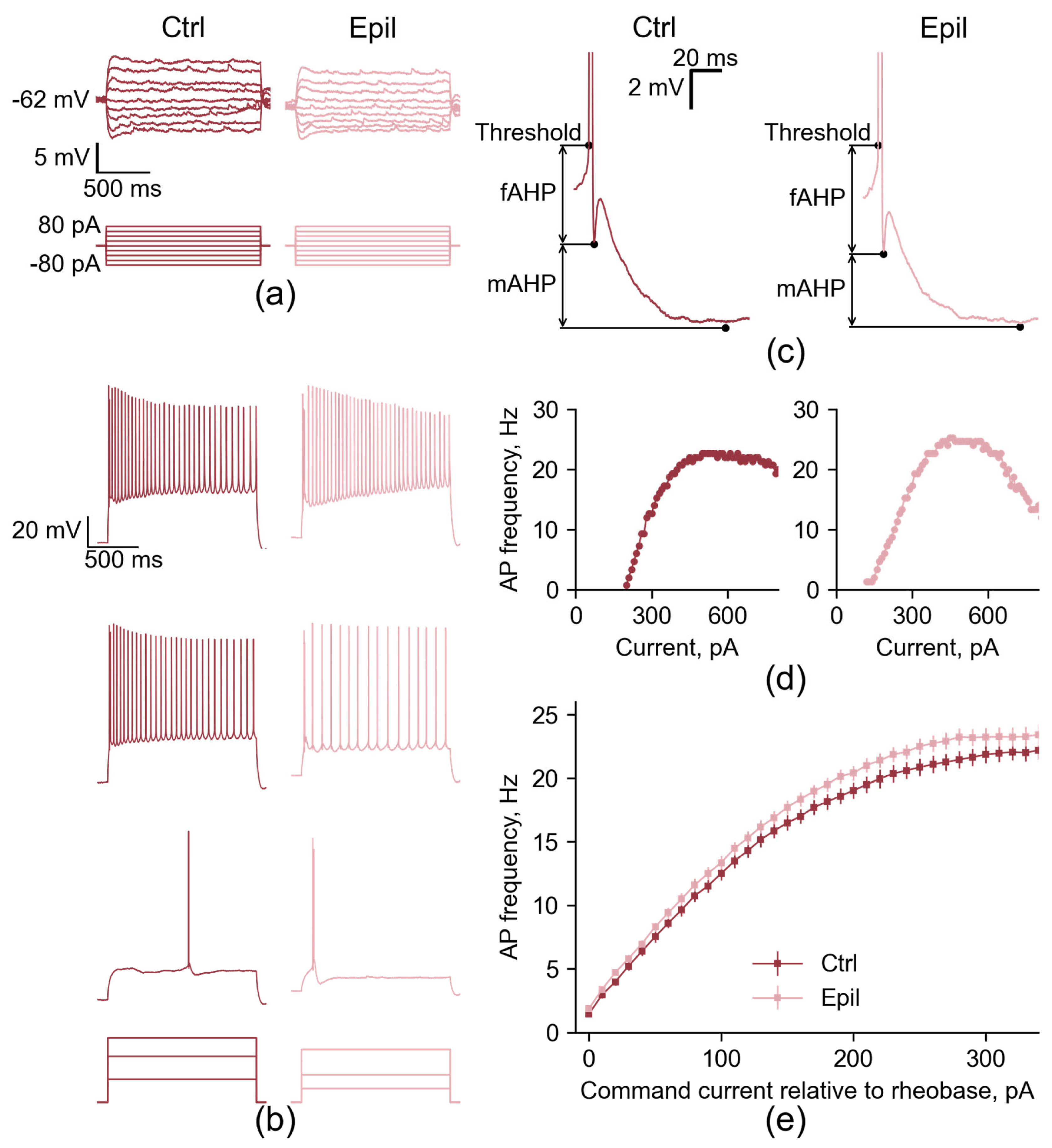 Preprints 109985 g002